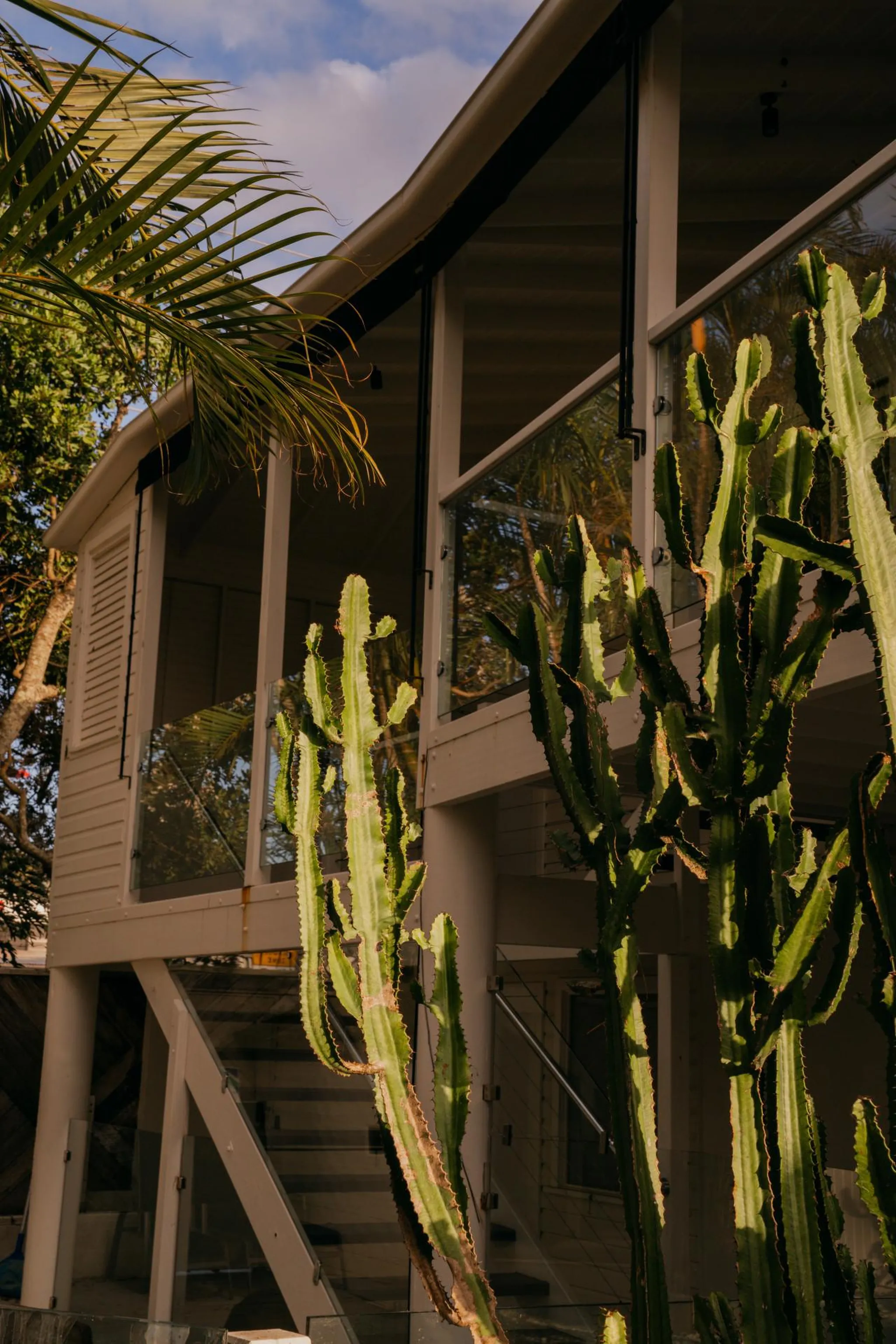 A house with large windows, a staircase, and cacti.
