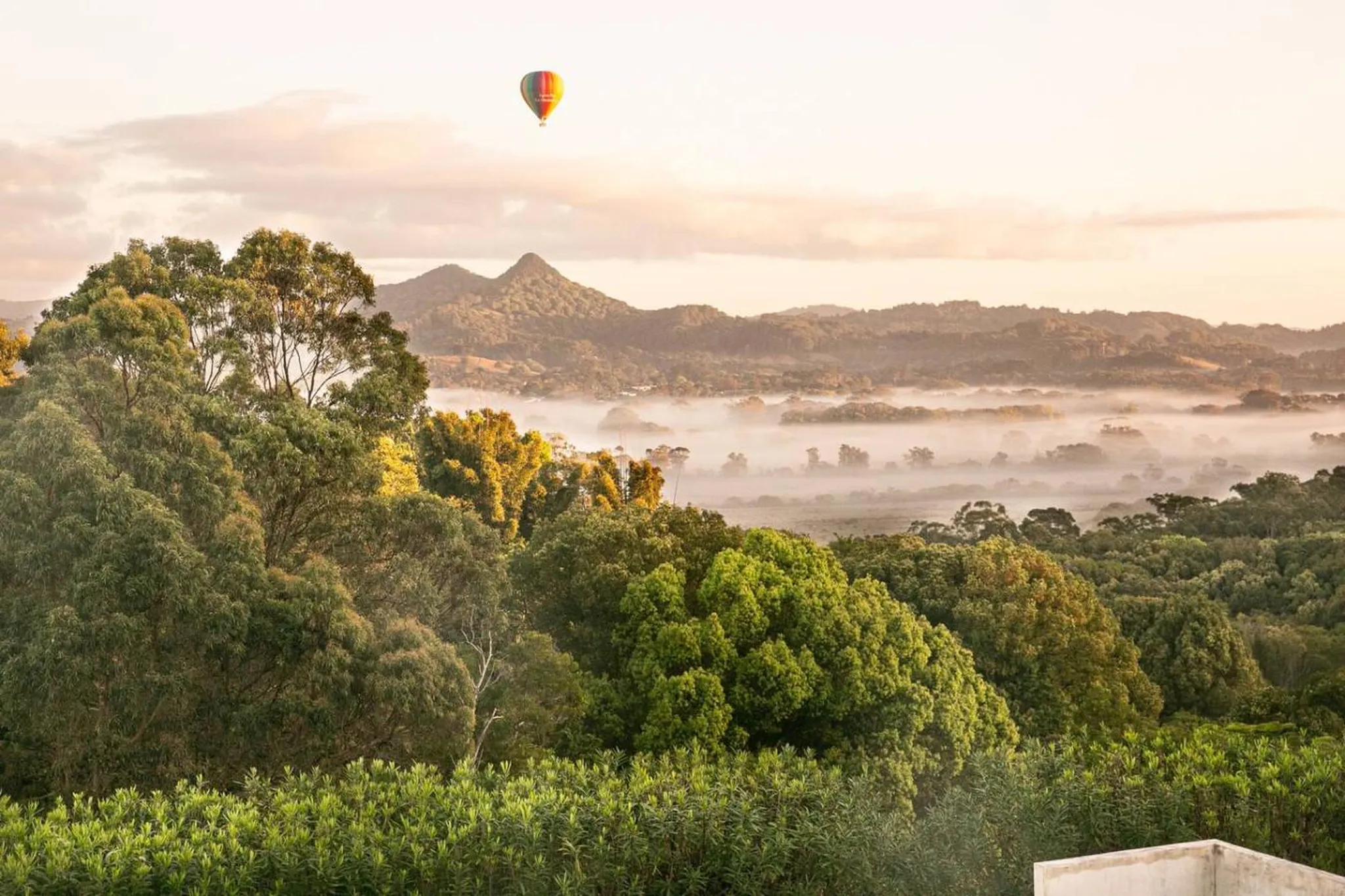 A hot air balloon floats above a misty valley filled with lush green trees.