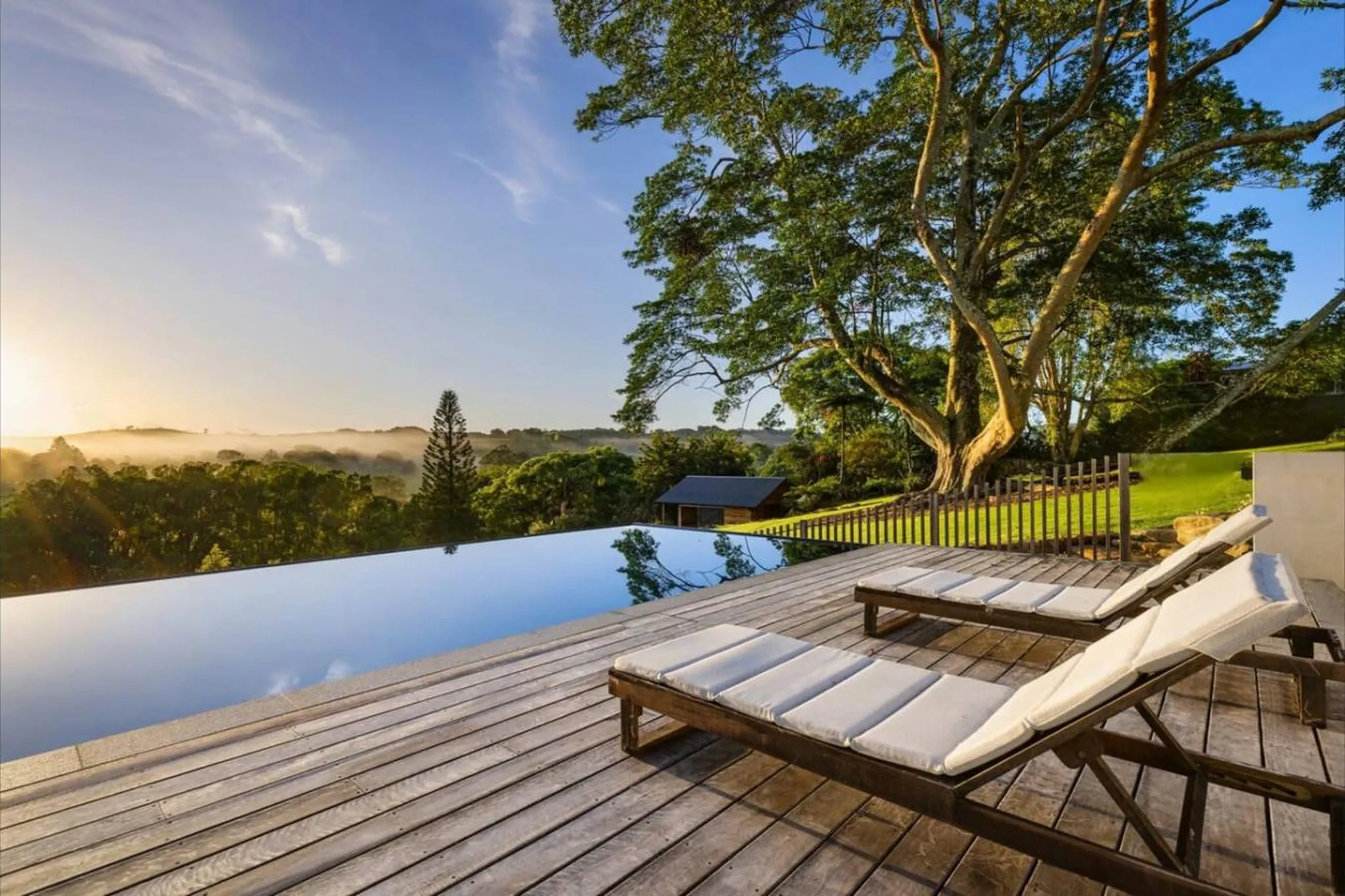 Infinity pool overlooking a misty forest with lounge chairs and a large tree.