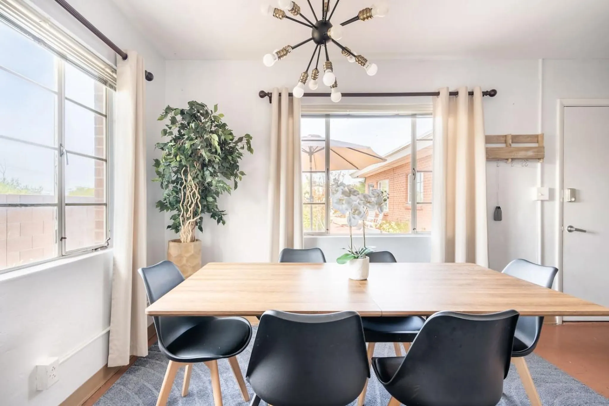 A dining room features a wooden table, black chairs, a plant, and a chandelier.
