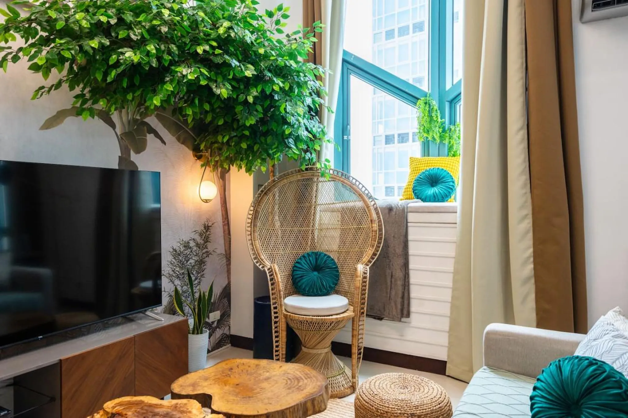 A living room with a peacock chair, plants, and a TV.