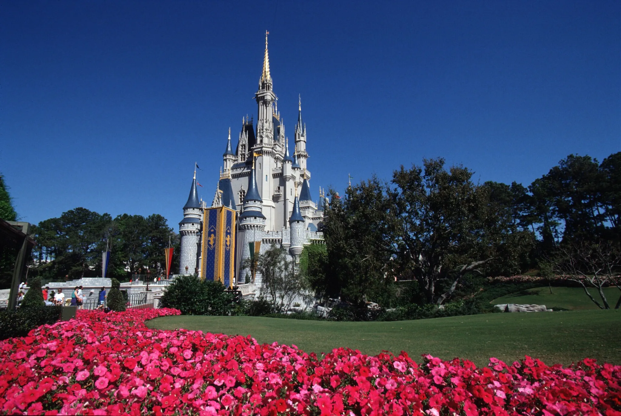 Orlando