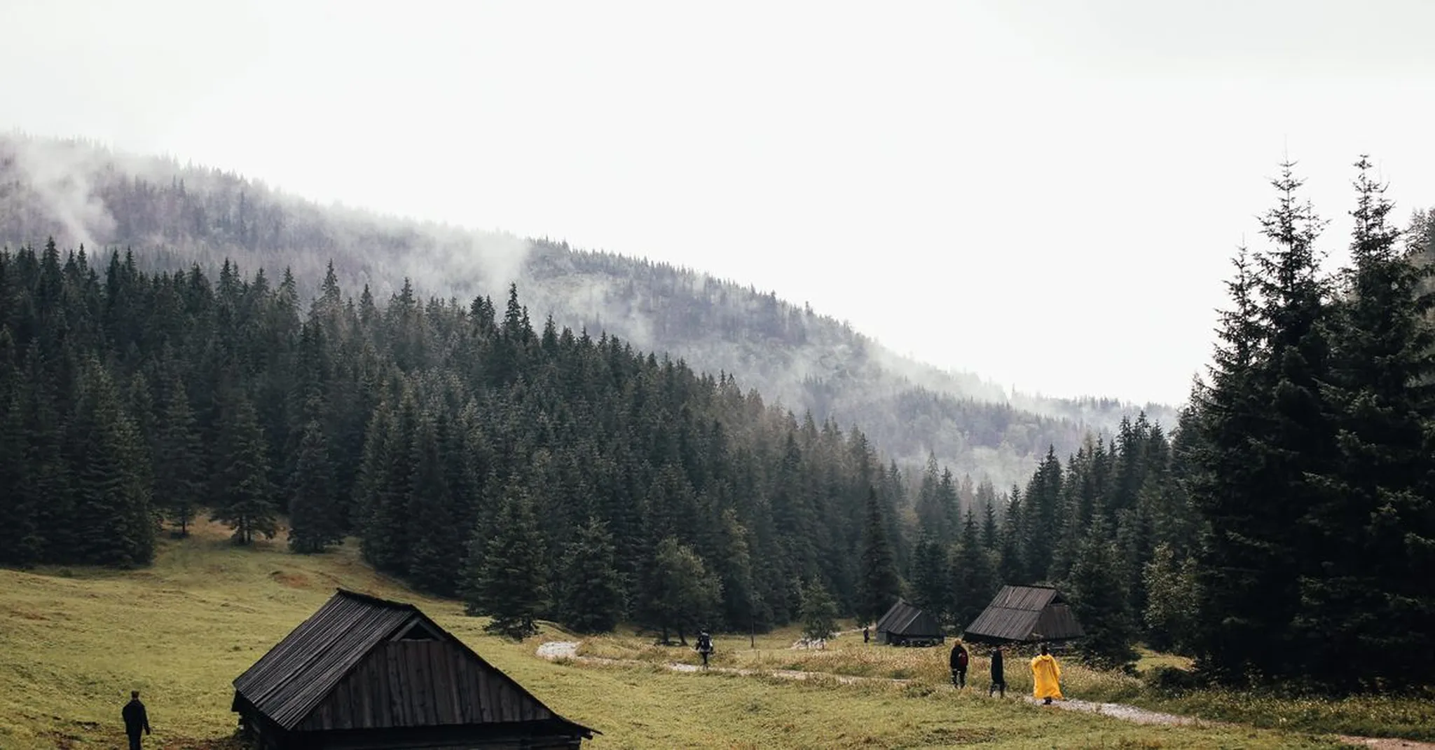 https://storage.googleapis.com/hostai-booking-prod-photos/clients/5seasonshomestays/blogs/covers/854d2c4f-6b1f-4ac4-99f0-7d60b8ee2189.jpg