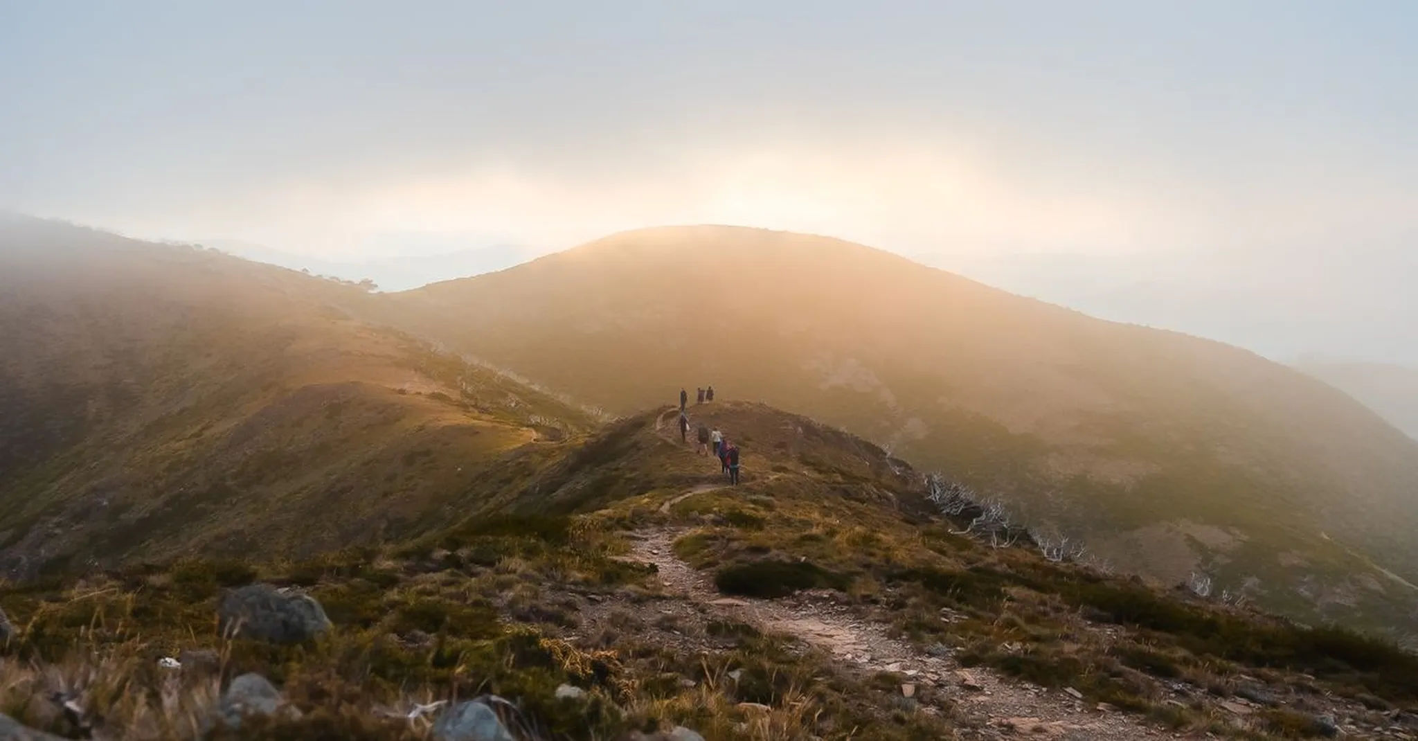 Craggy Pinnacle Trail Guide 2026: Sunset Hikes and Nearby Asheville Cabins