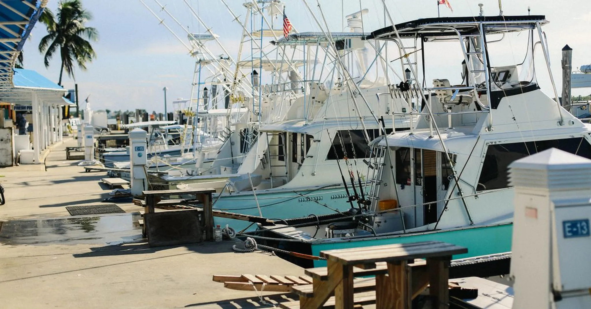 Destin Fishing Rodeo 2026: October on the Gulf and Beach Houses to Book Now