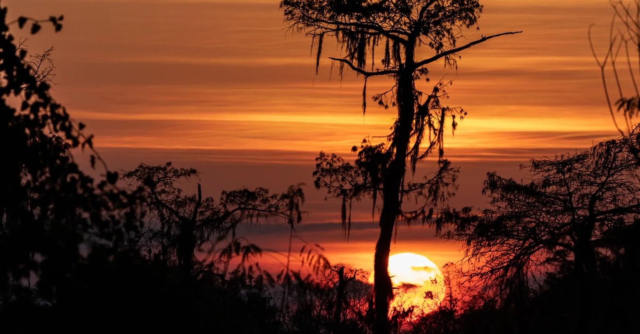 Vacation Rentals in Lafayette, LA: A Local Guide to the Best Areas to Stay