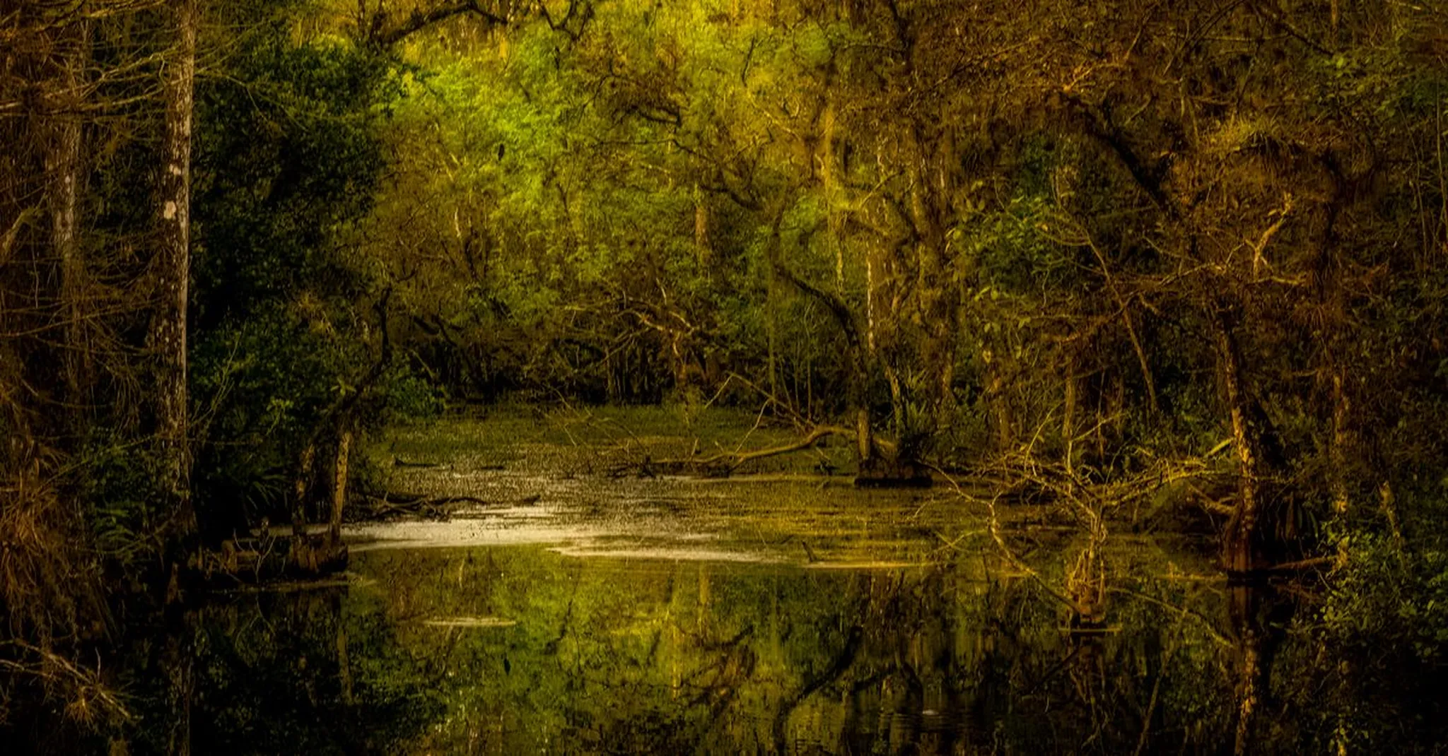 3 Days in Lafayette: A Cajun Country Itinerary for First-Timers