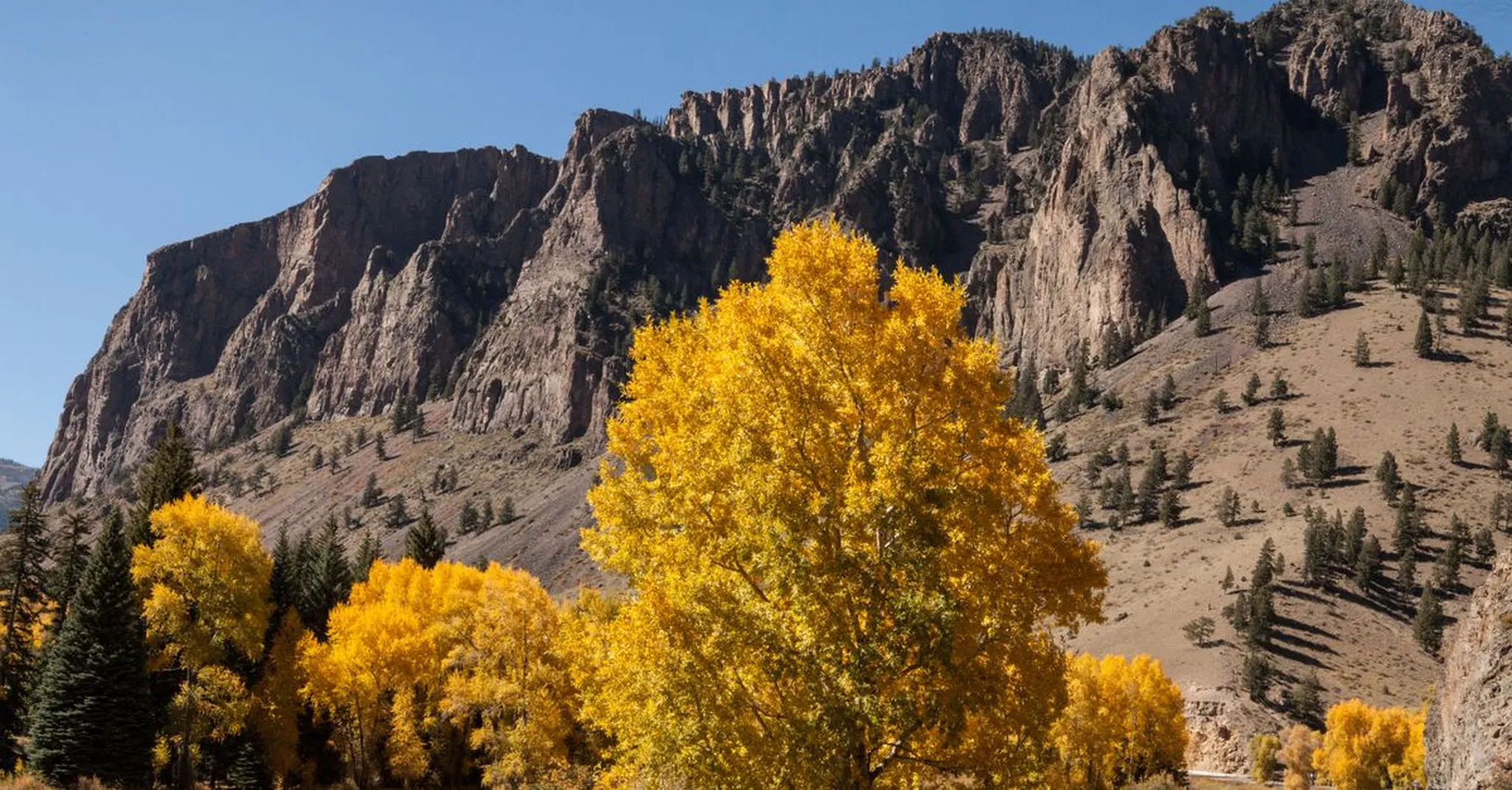 Fall Foliage in Evergreen CO 2026: Golden Aspen Drives and Cozy Cabin Stays