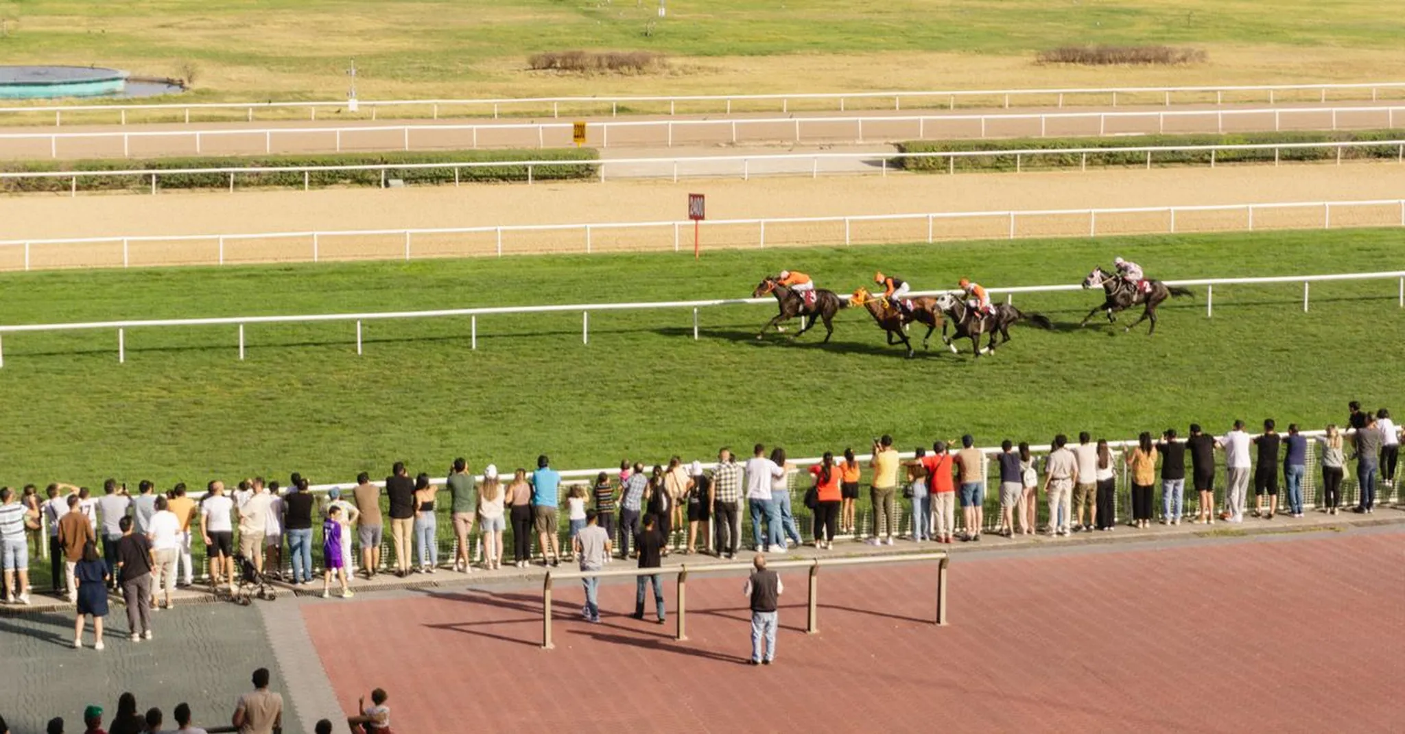 Gulfstream Park Fall Racing 2026: Where Groups Stay Near Hollywood, FL