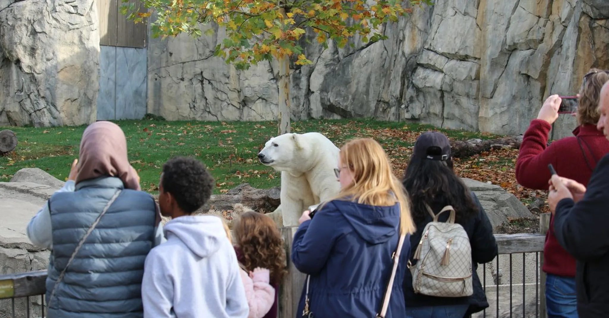 Family-Friendly Dallas Zoo Trips: Vacation Rentals vs Hotels for 2026
