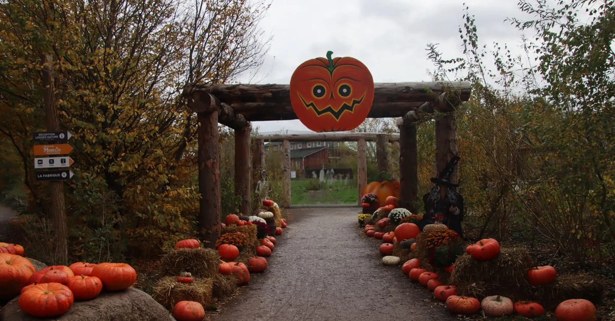 Halloween in Abilene 2026: Boo at the Zoo, Fall-Free Fun, and Family Stays