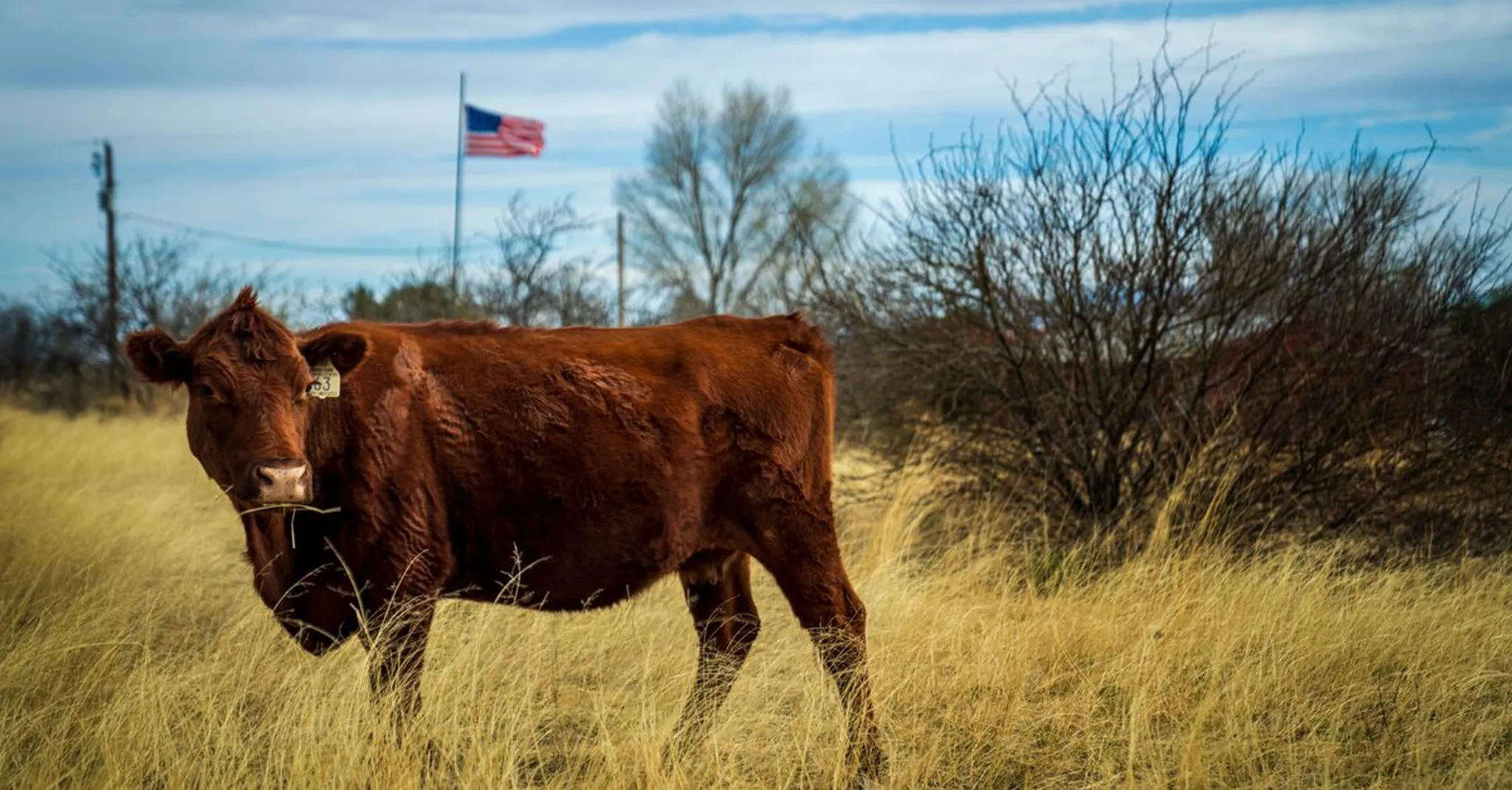 Sayles Ranch Guesthouses: Booking the Best Historic Stay in Abilene TX