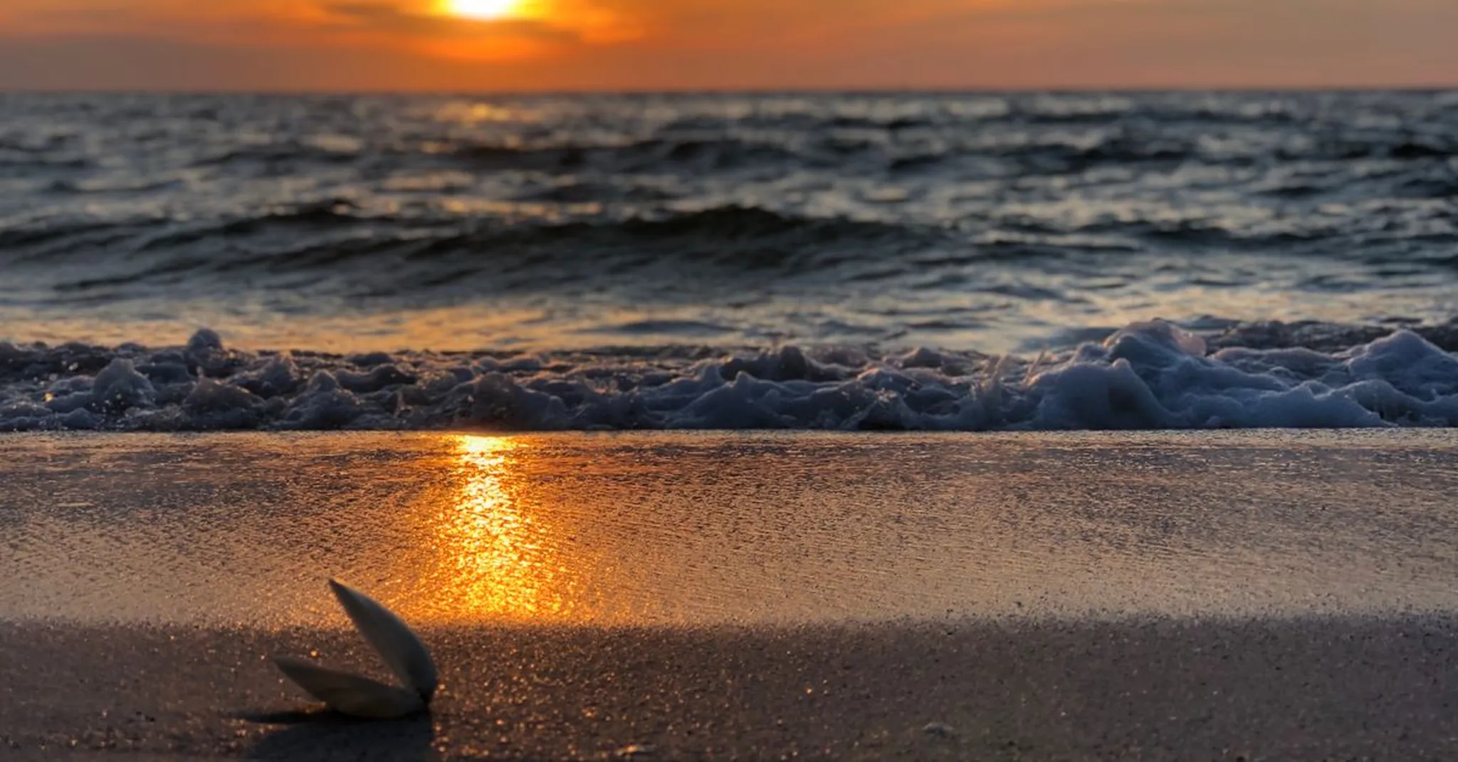 July 4th Weekend 2026 in Cape San Blas: Your Quiet Beach Alternative to Crowded Fireworks