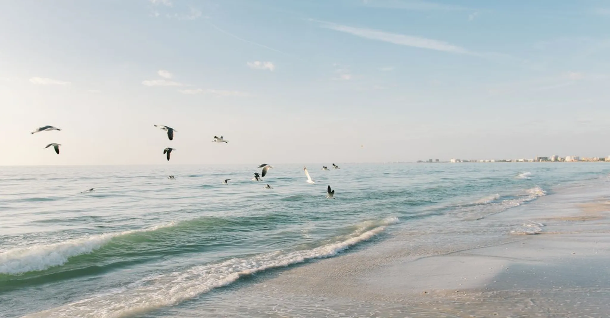 Vacation Rentals in Mexico Beach FL: 2026 Booking Guide for Families