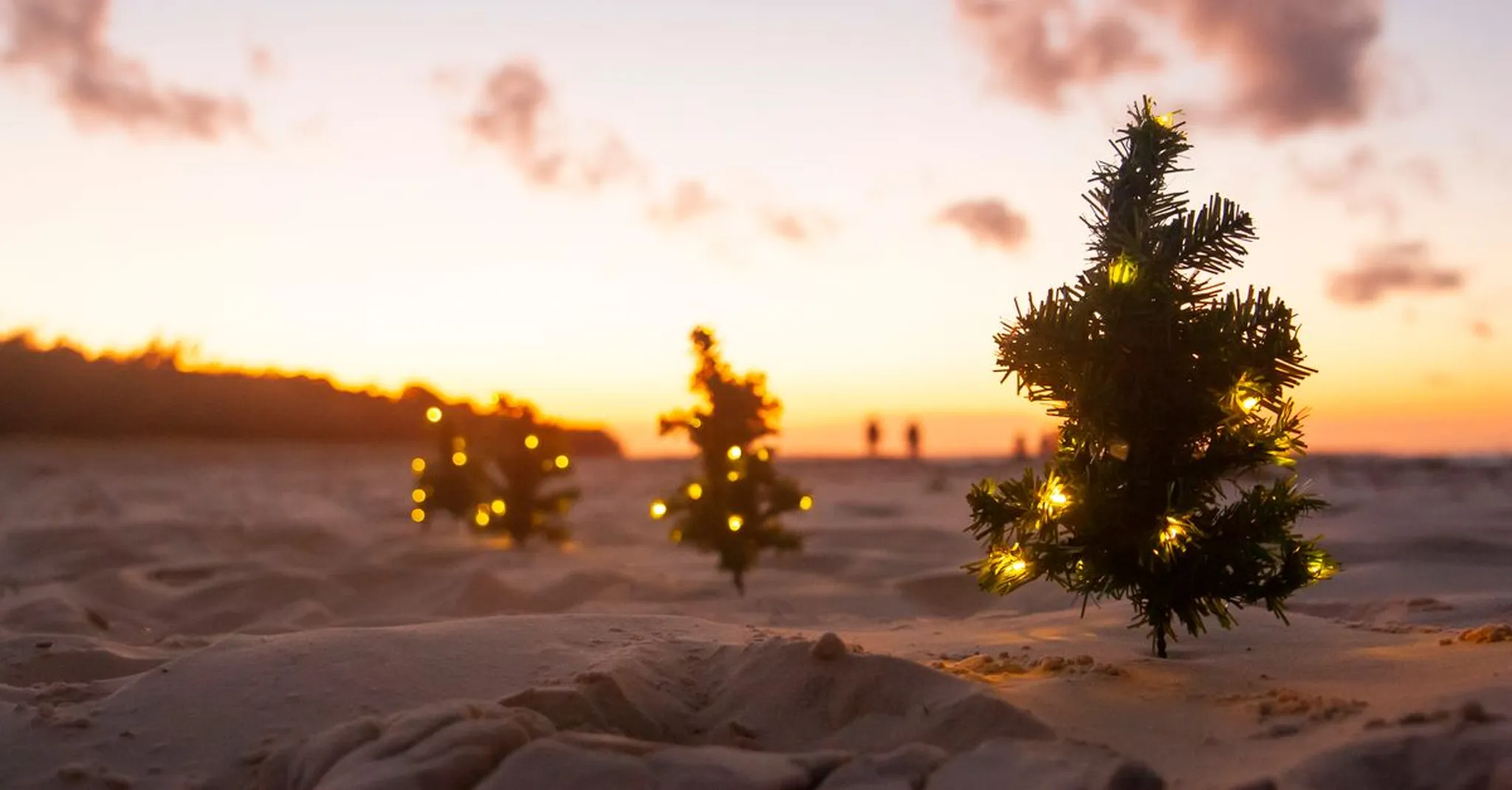Christmas on the Coast 2026: Port St. Joe December Events and Beach House Stays