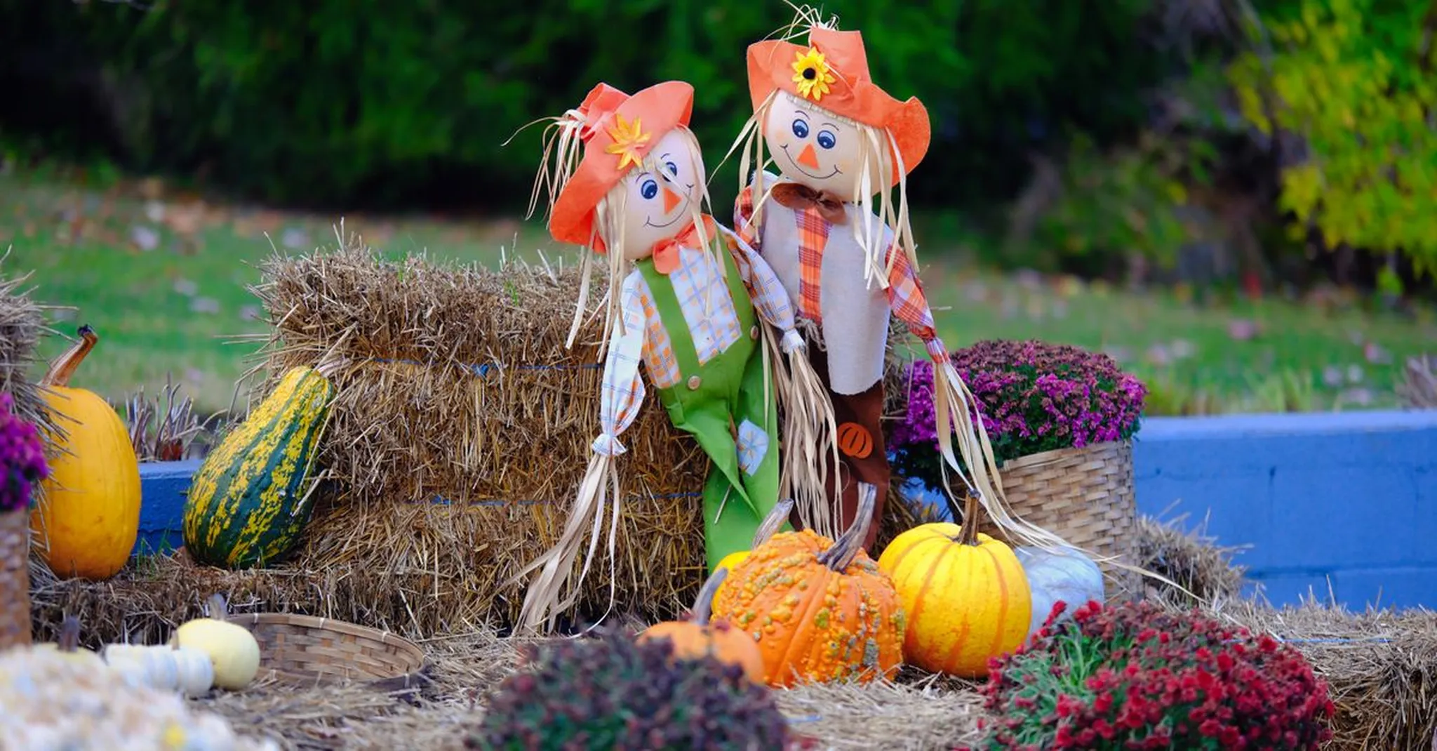 Brookgreen Gardens Harvest Home Weekend 2026: Murrells Inlet Fall Guide