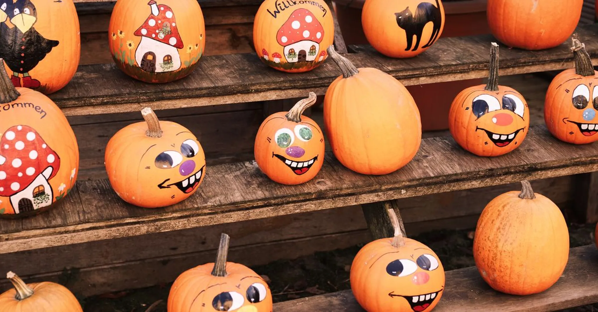 Halloween 2026 in Myrtle Beach: Family Fun, Fall Events & Where to Stay
