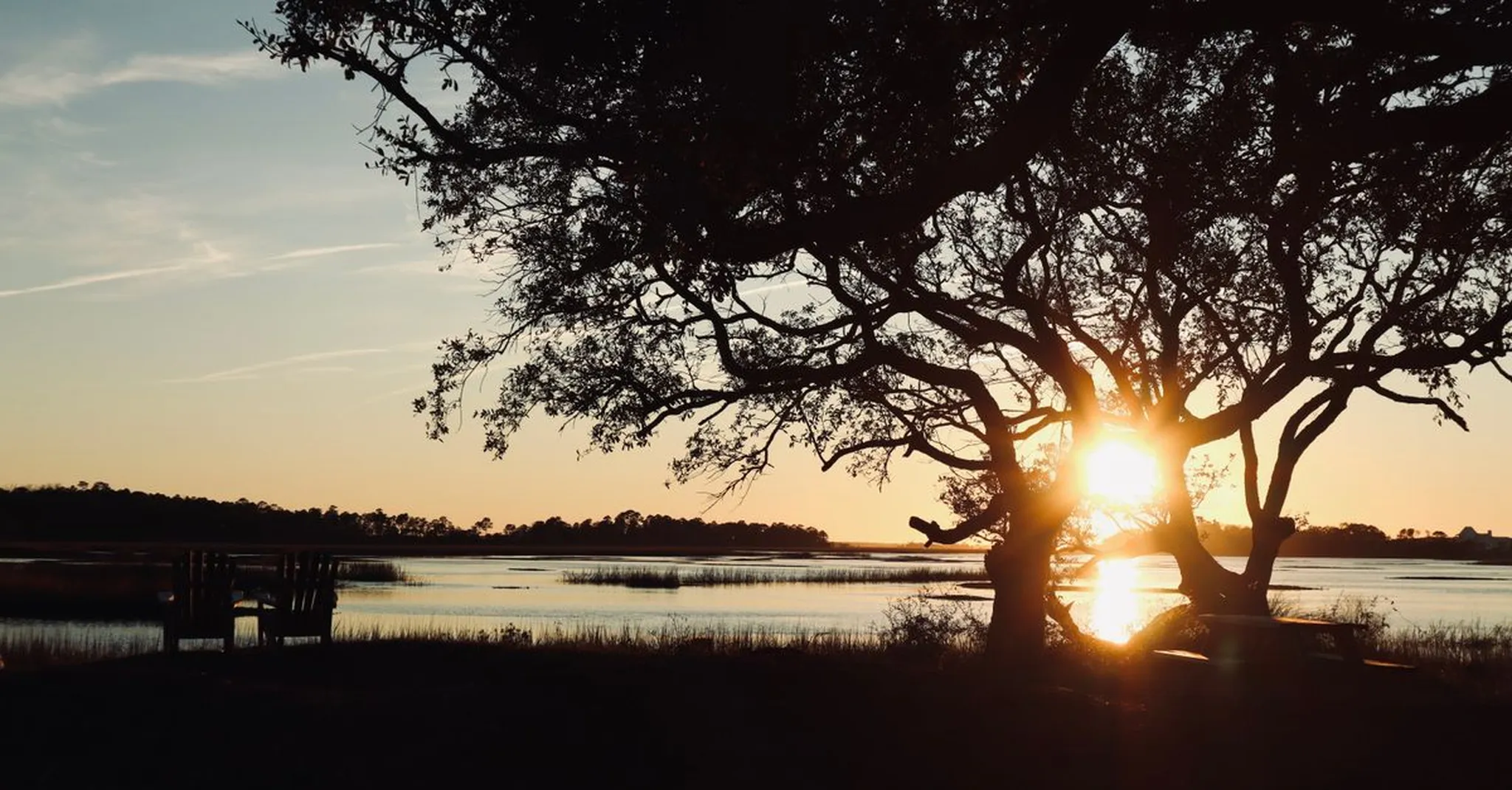Loris Bog-Off Festival 2026: A Grand Strand Day Trip Guide and Where to Stay
