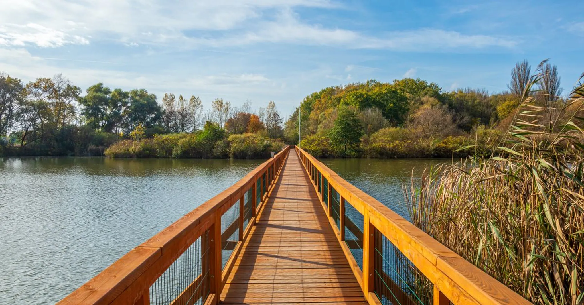 Columbus Day Weekend 2026 in Murrells Inlet: MarshWalk Dining & Fall Getaways