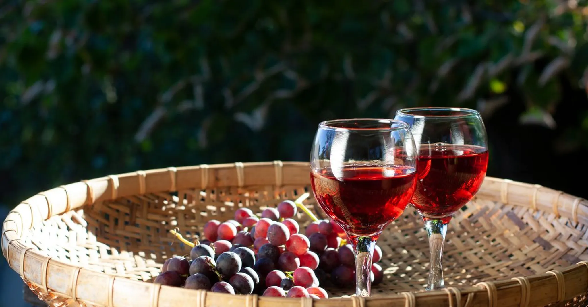 Grape Stomp Season in the Hill Country 2026: Your Wimberley Weekend Base