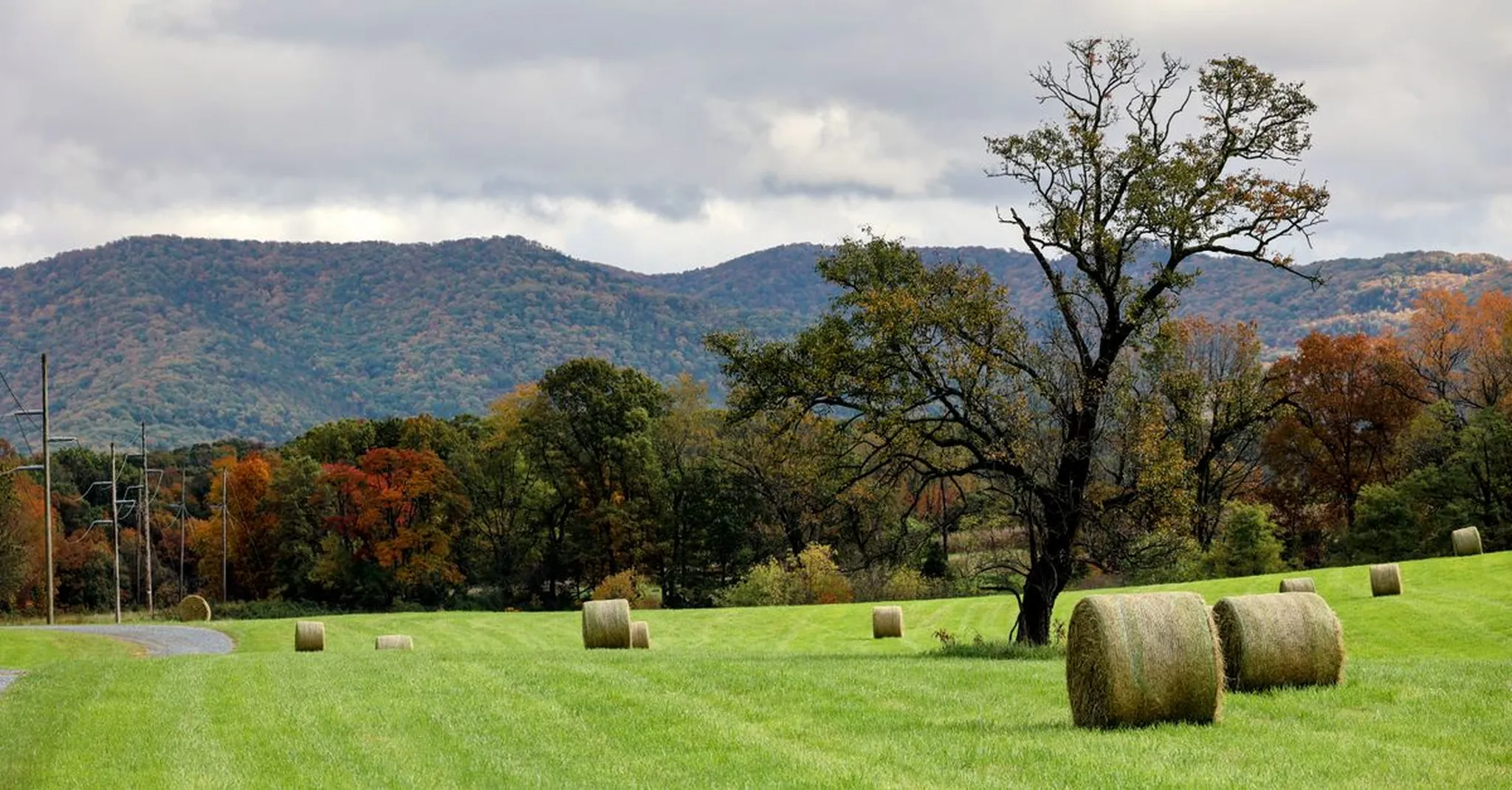 Thanksgiving in Wimberley 2026: A Cozy Hill Country Getaway Guide