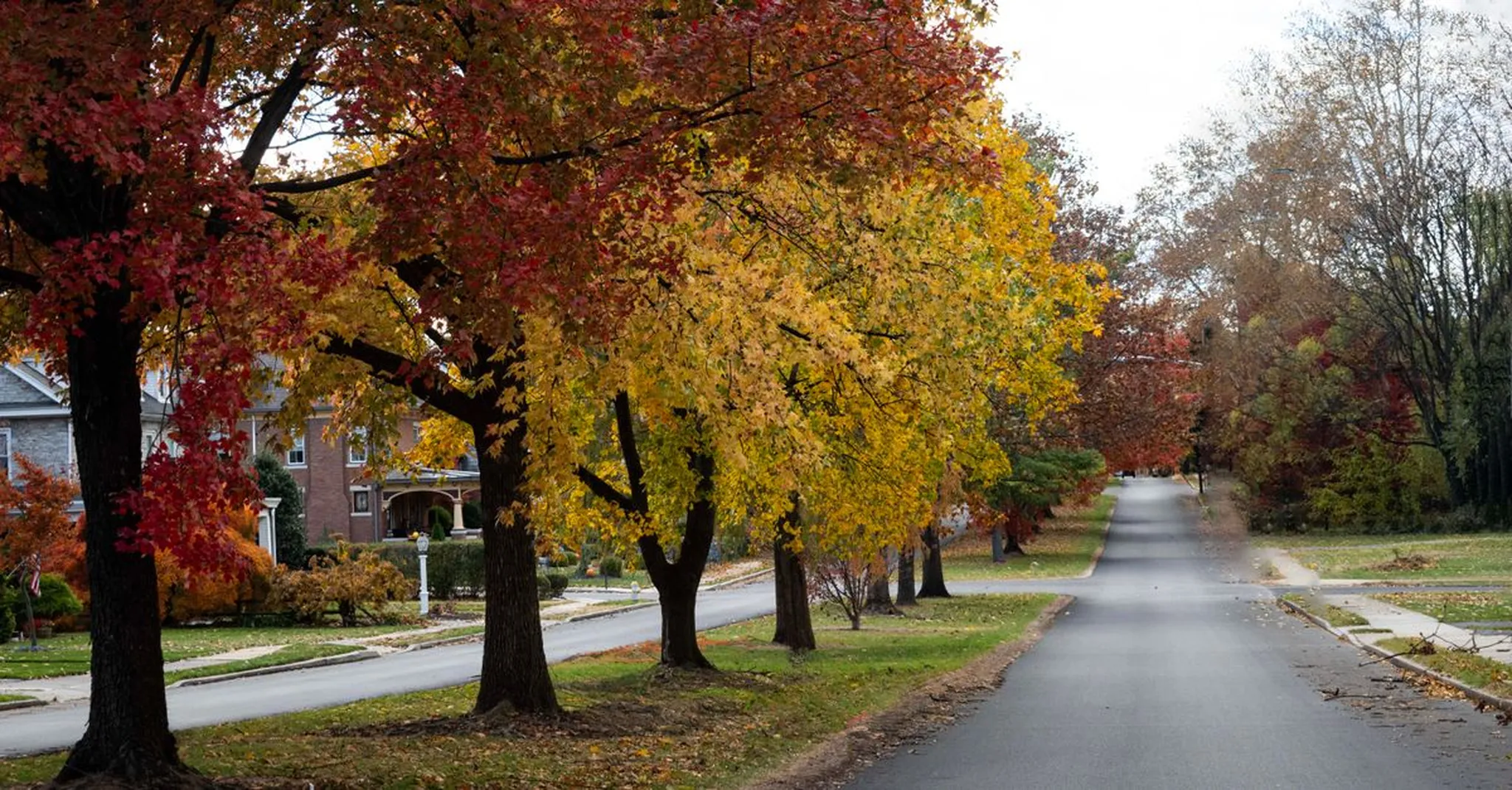 Quiet residential street lined with autumn trees in red, orange, and yellow foliage beside grassy lawns and a brick house