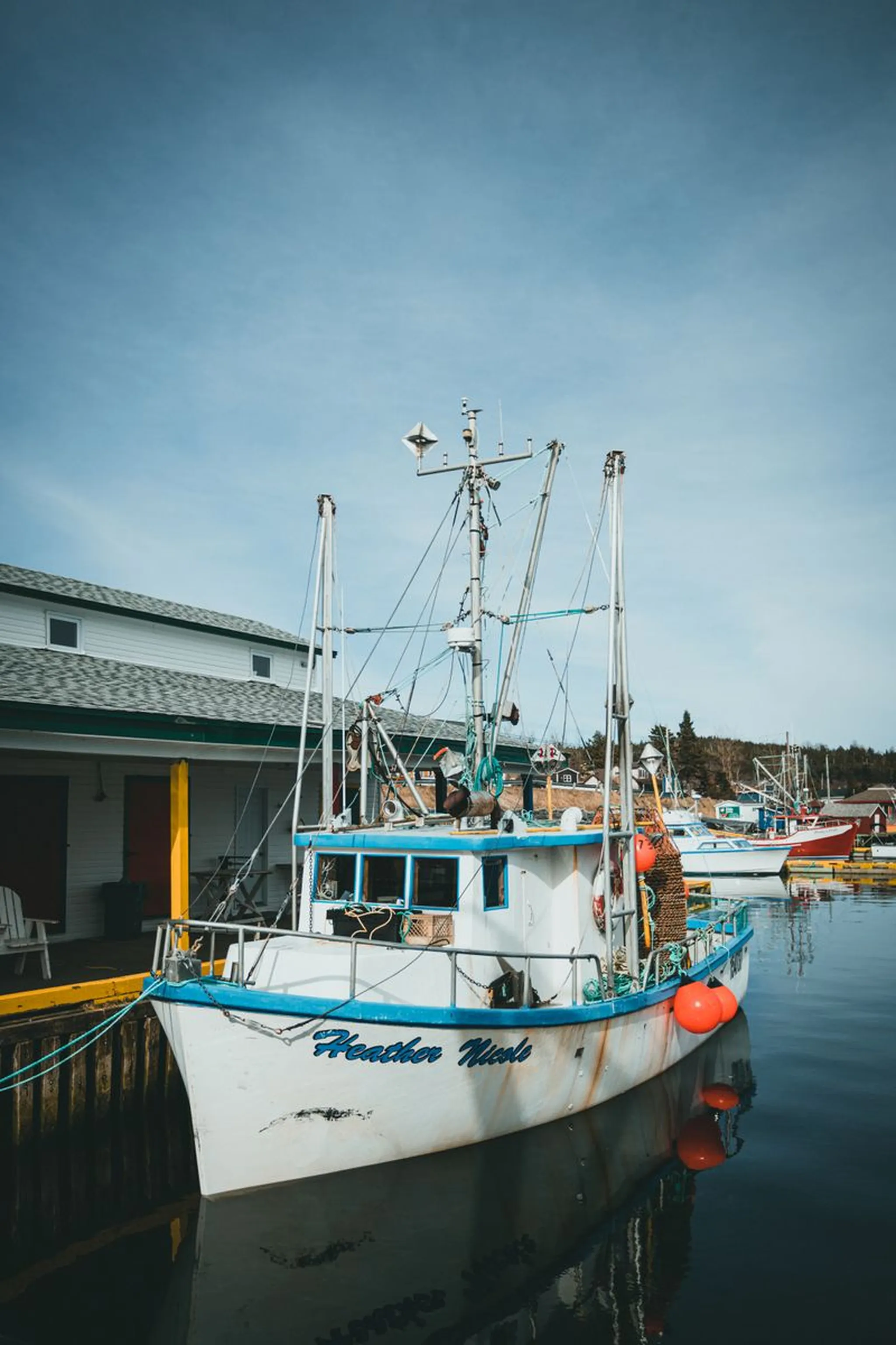 White and blue fishing boat named Heather Nicole moored at a dockside harbor with buildings and other boats under blue sky