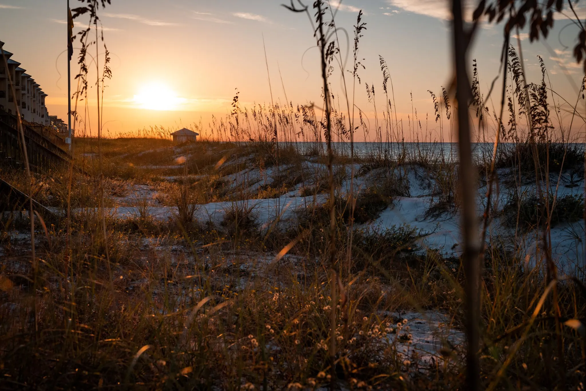 Sea oats and sand dunes in golden evening light with condos at the edge of the beach
