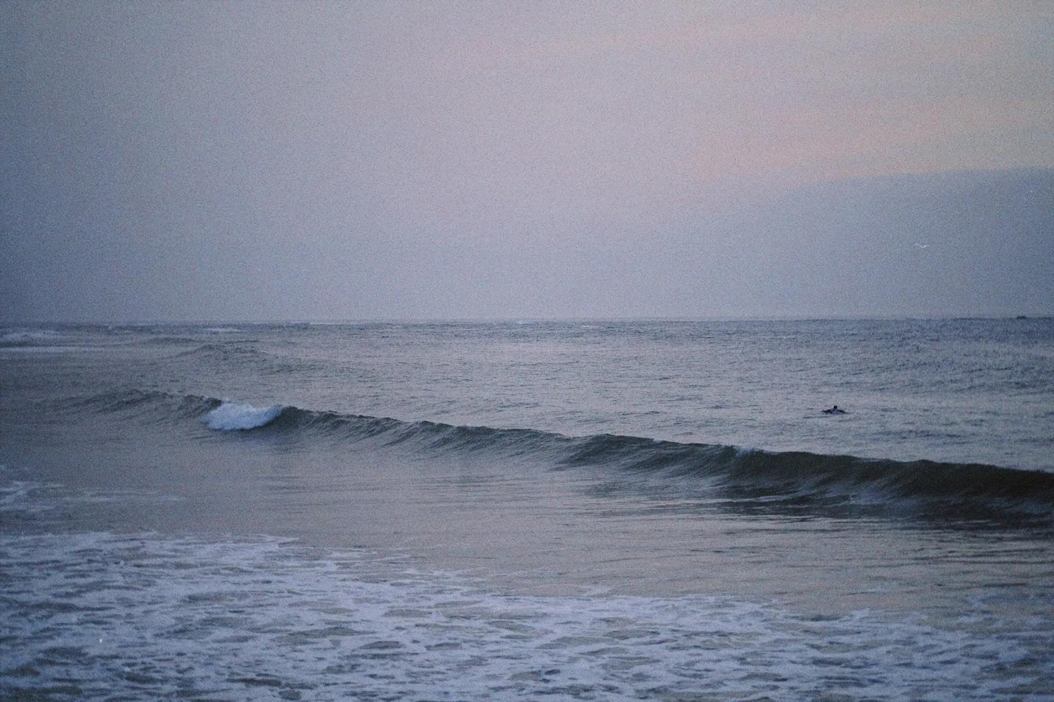 A small wave rolling across a calm grey-blue sea at dusk