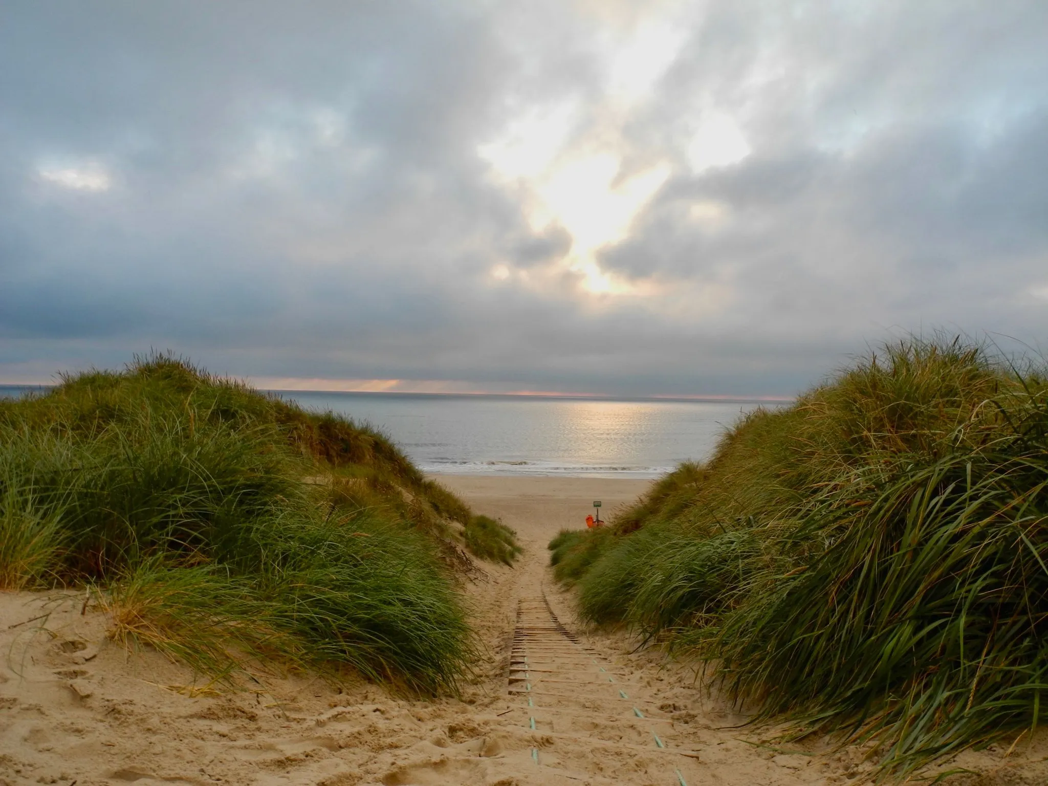 Sandy path through beach grass dunes opening onto a calm sea at dusk