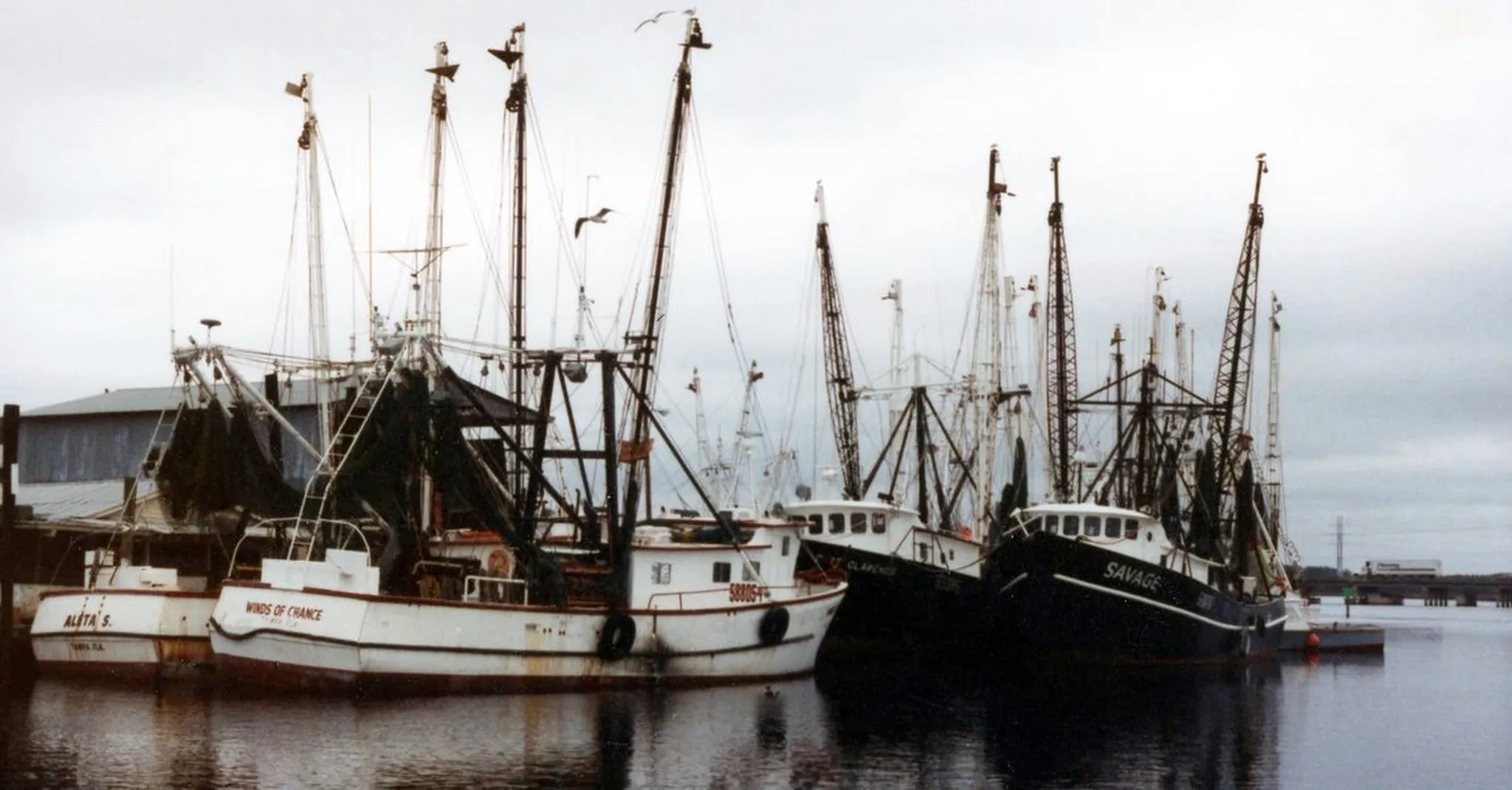 Destin Fishing Rodeo 2026: An October Angler's Guide to the Emerald Coast