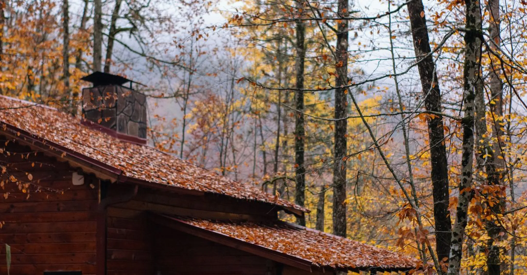Thanksgiving in Blue Ridge, GA 2026: A Cozy Mountain Cabin Getaway
