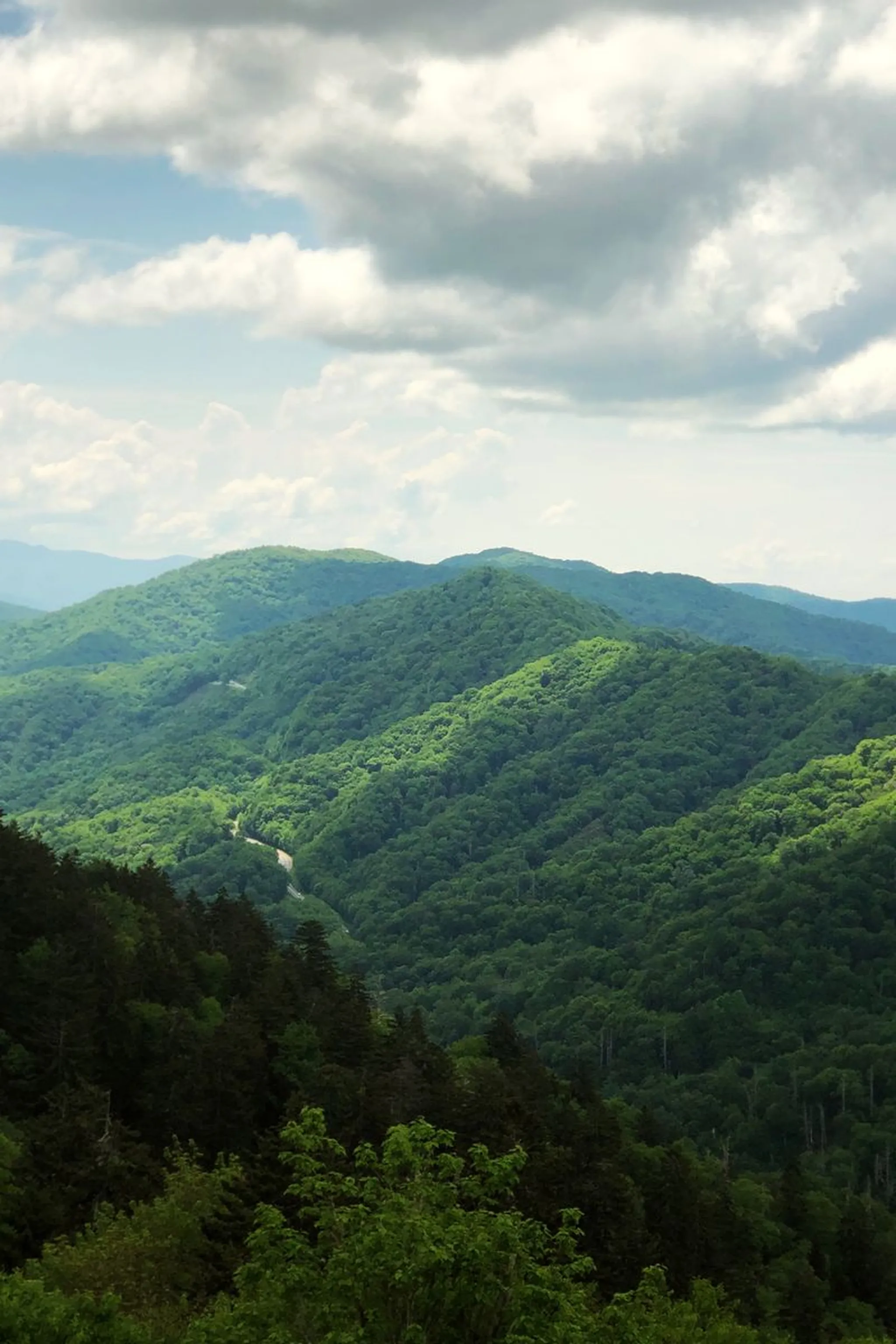 Sweeping view of forested green mountain ridges under a bright cloudy sky with a winding road visible in the valley below