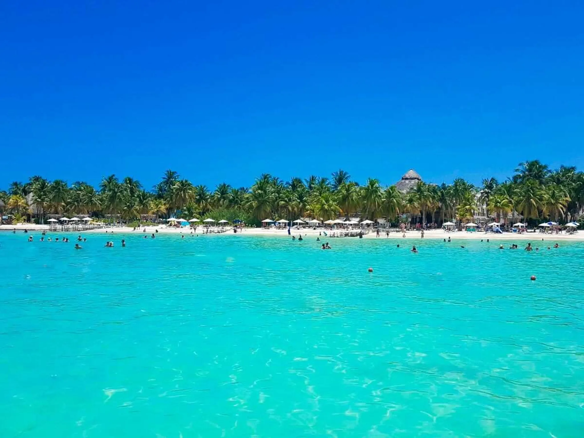 https://storage.googleapis.com/hostai-booking-prod-photos/clients/boutiquemexicovillas/blogs/covers/02c5b8d2-188d-4b7d-aa36-337c7439c3f3.jpg