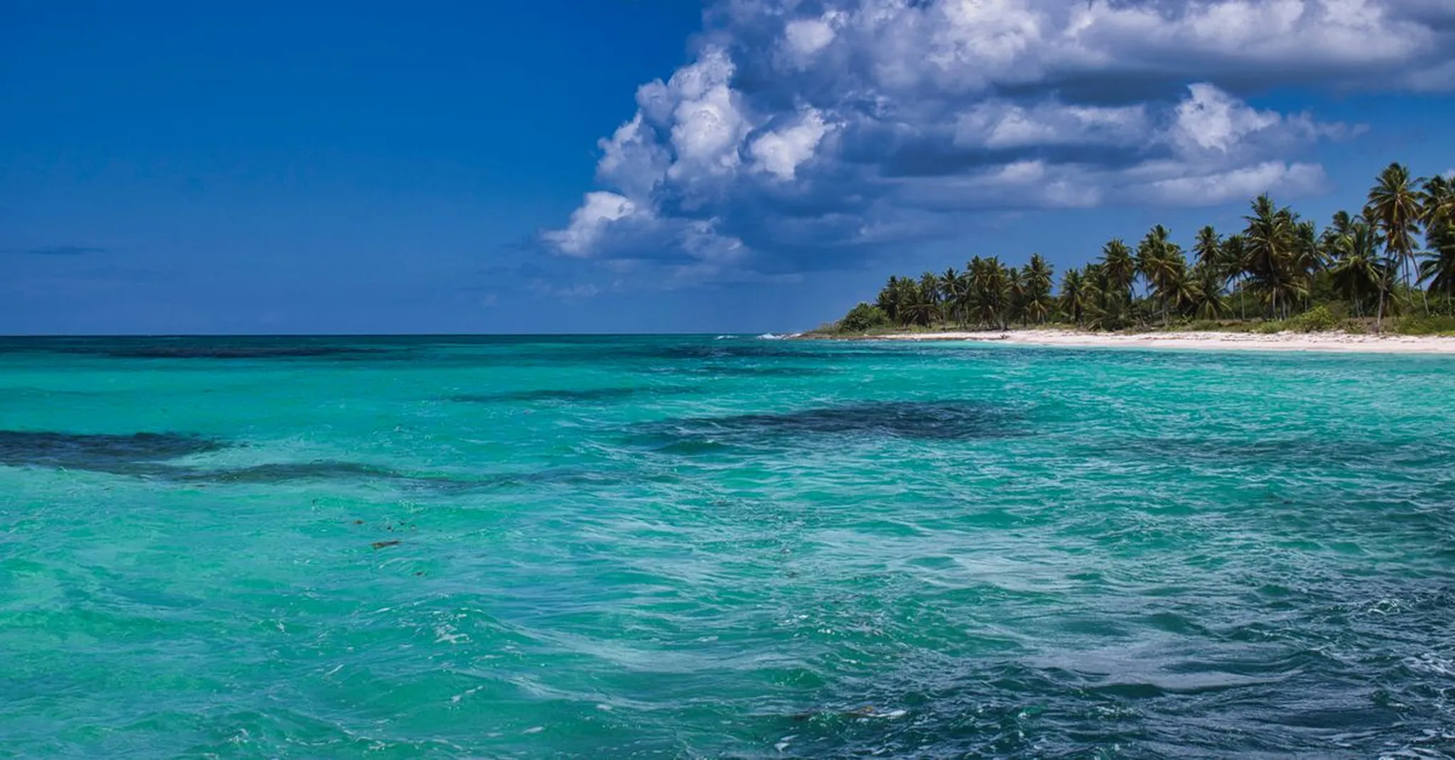 Isla Mujeres in January 2027: Weather, Crowds, Beach Conditions and Villa Rates