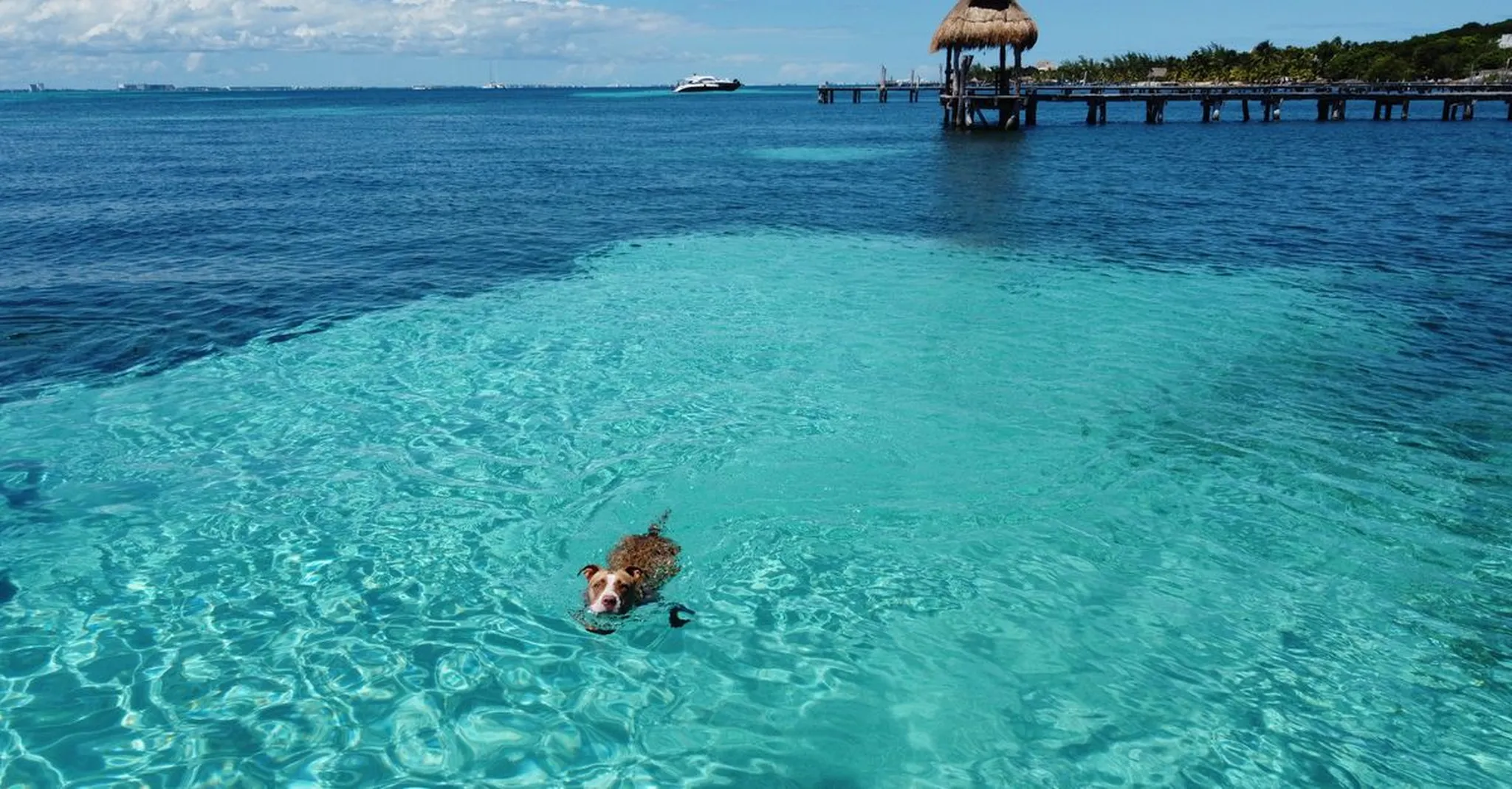 5 Days in Isla Mujeres: A Villa Based Summer Itinerary for 2026