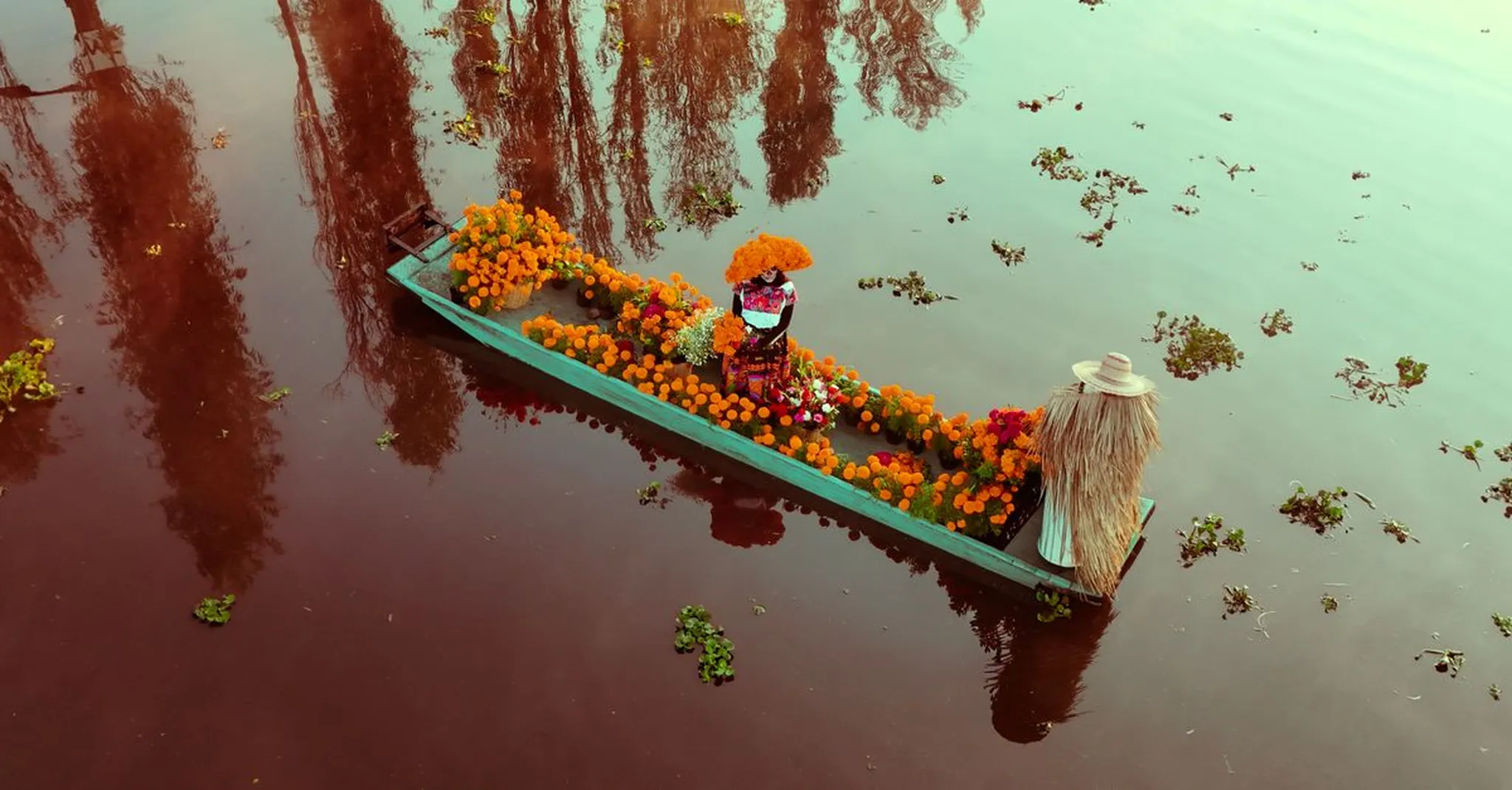 La Llorona Xochimilco 2026: Night Trajinera Shows and Where to Stay in CDMX
