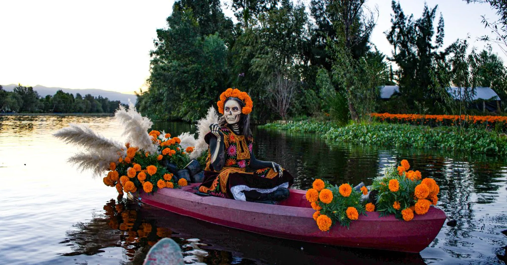 Cempasuchil Season Mexico City 2026: Marigold Fields, Markets and Where to Stay