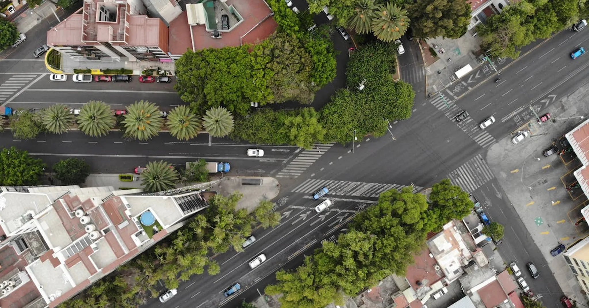 Hipódromo Condesa Guide: CDMX's Bohemian Heart for Your Next Stay