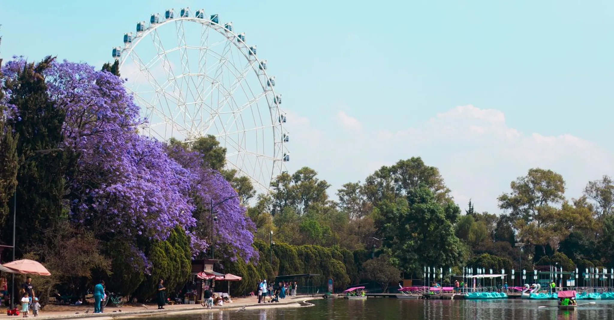 Family Trip to Mexico City This Summer: Chapultepec, Six Flags & Where to Stay