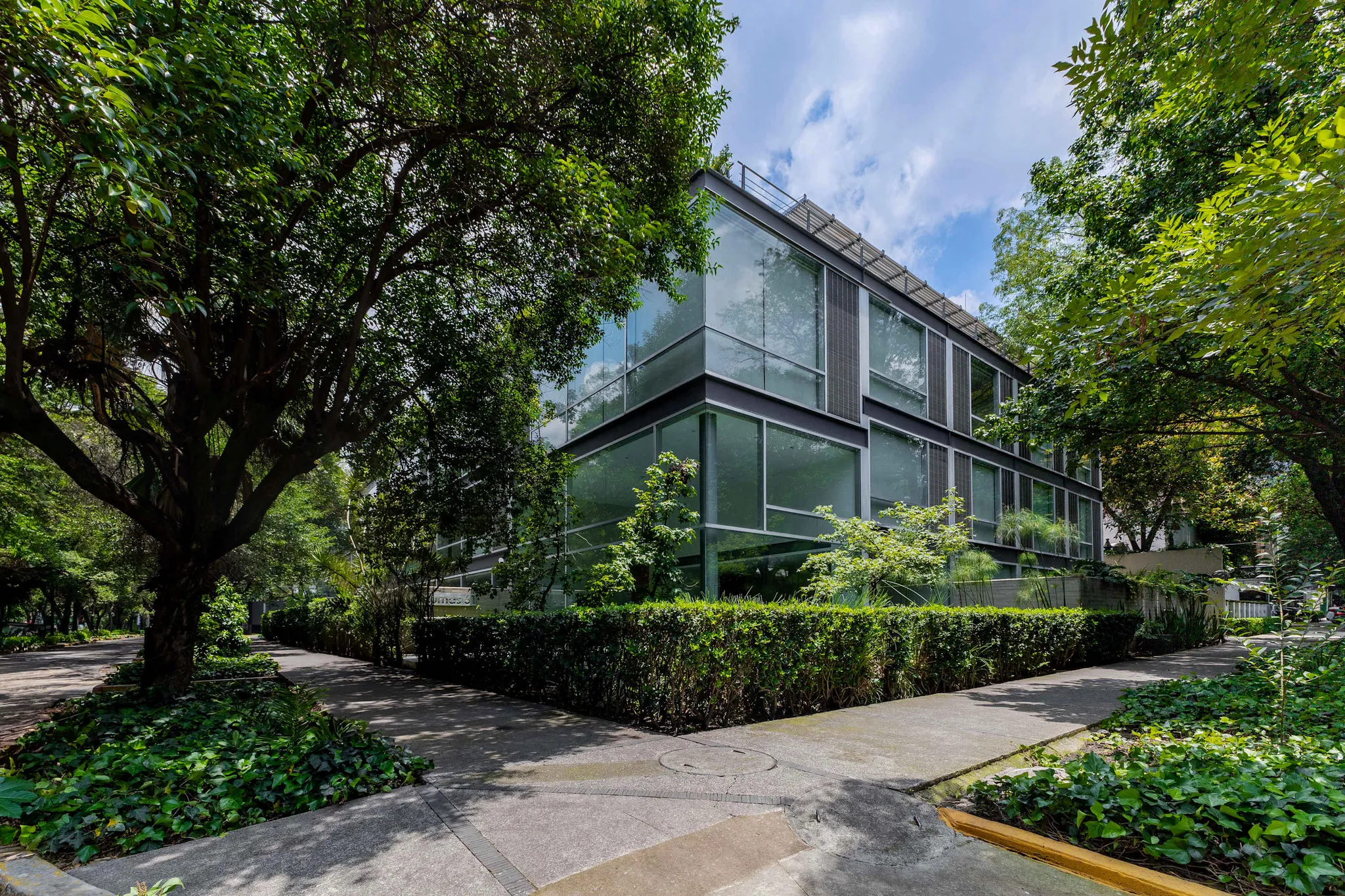 Modern glass building with lush trees and hedges on a sunny day.