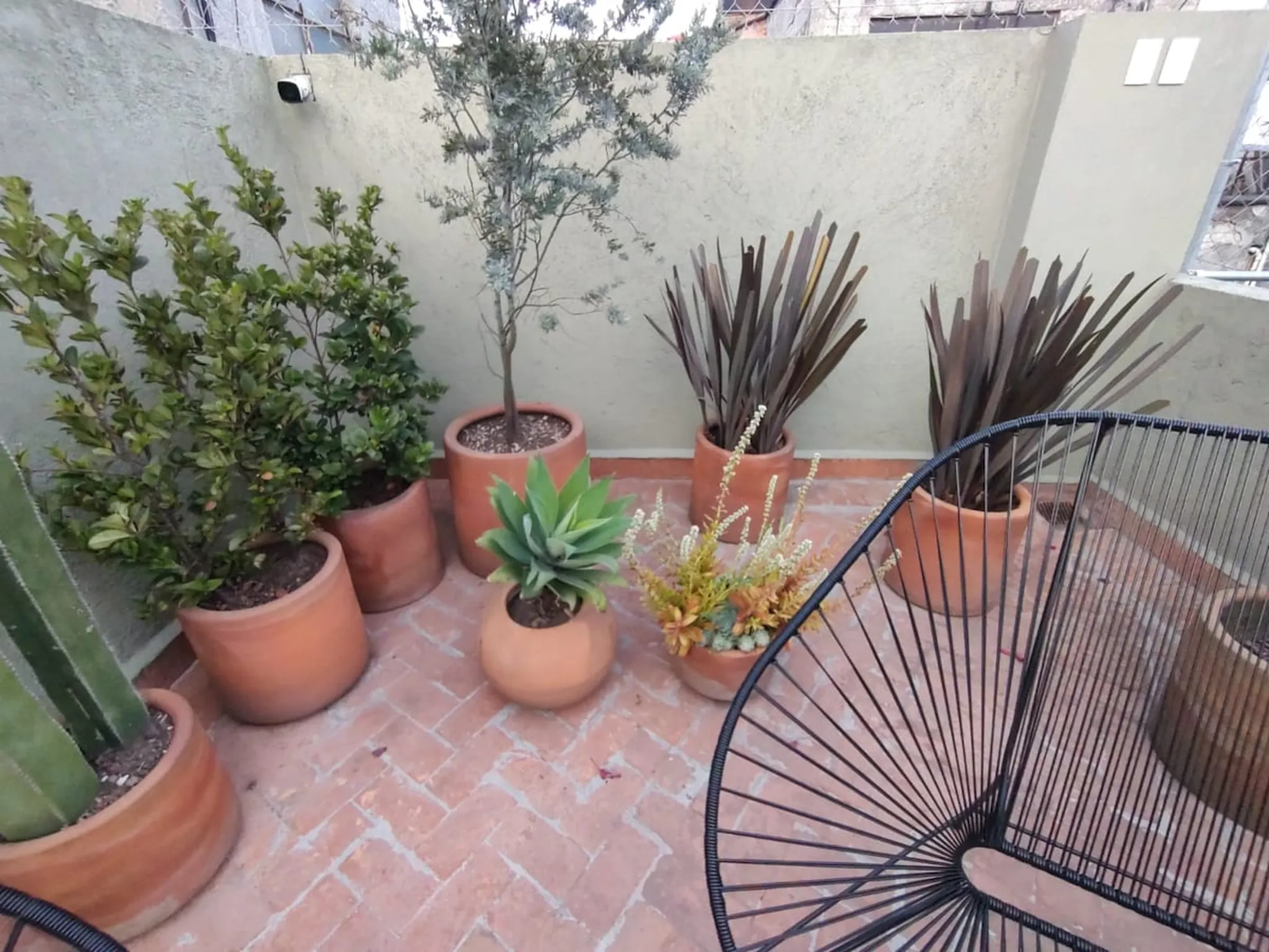 Cozy rooftop patio with terracotta planters, chairs, and leafy plants at Kin Pech Roma.