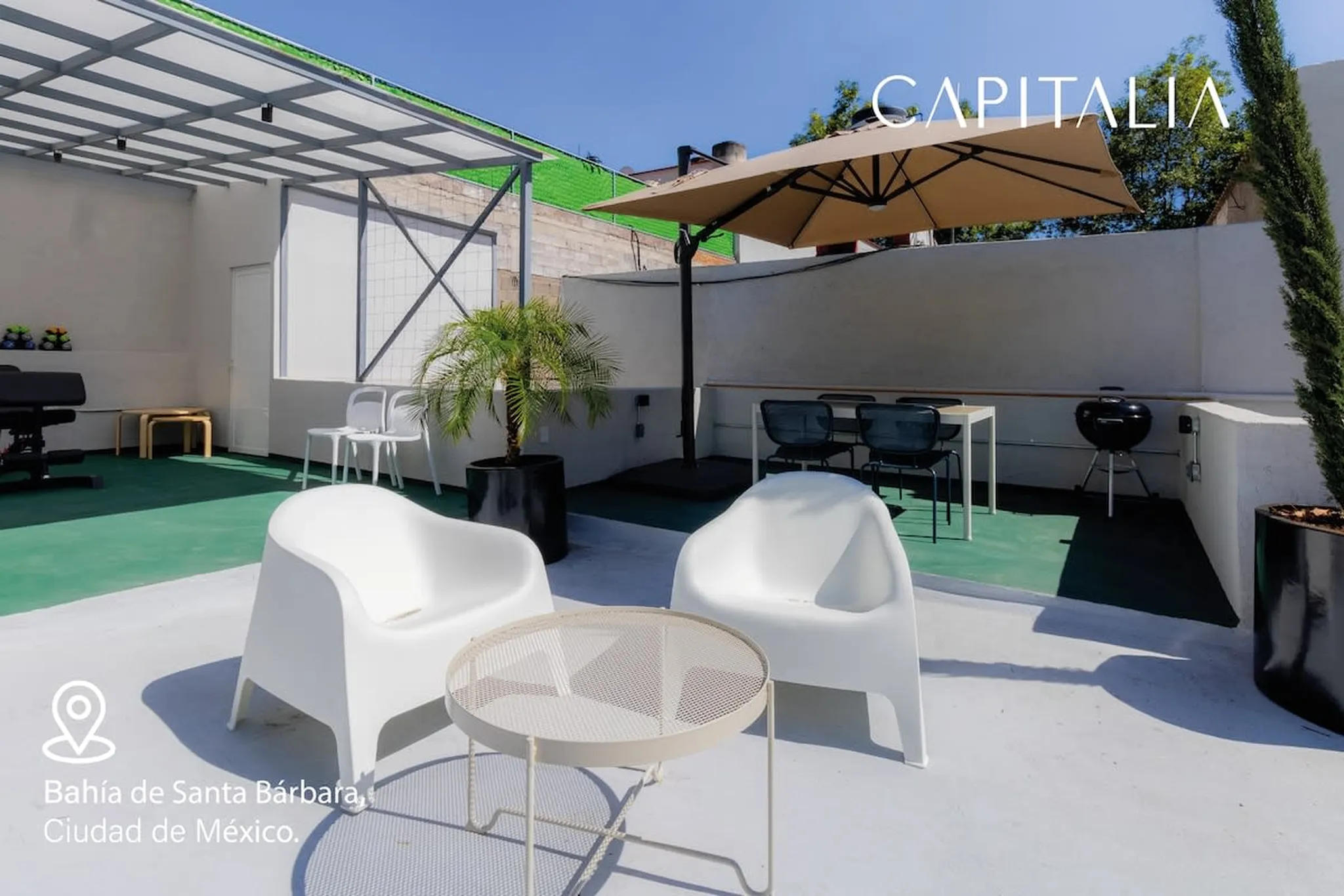 Terrace with white chairs and a table, grill, and palm tree.