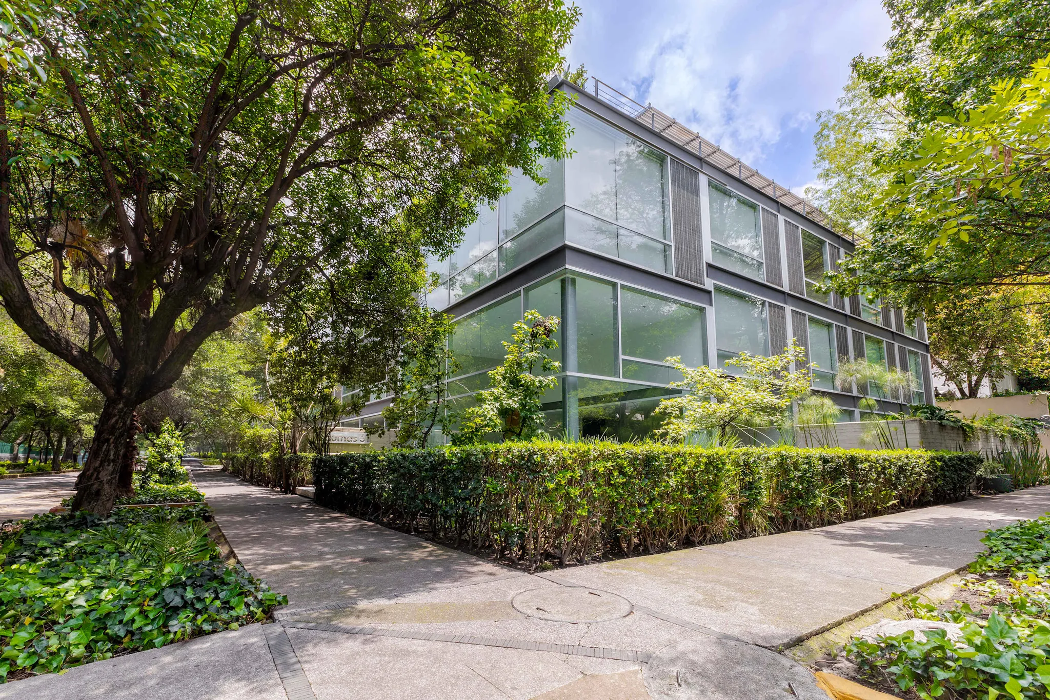 Modern building with glass facade surrounded by trees and greenery.