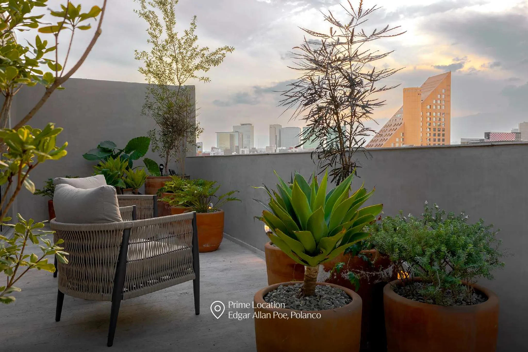 A rooftop patio with potted plants and a city skyline in the background.