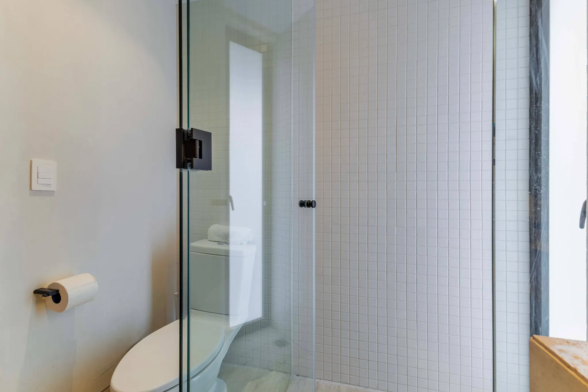 A white toilet is visible next to a glass shower enclosure with tiled walls.