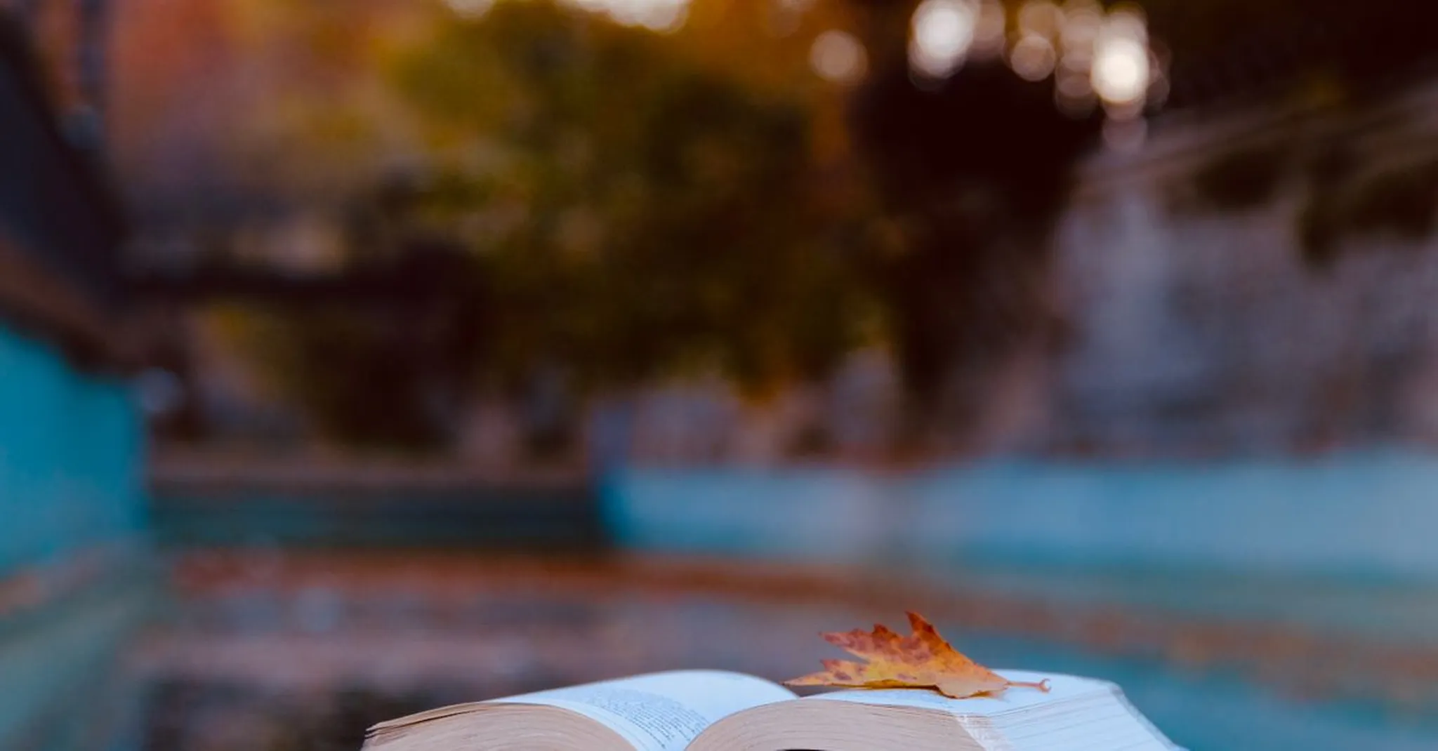 Manchester Literature Festival 2026: Where to Stay for October's Book Events