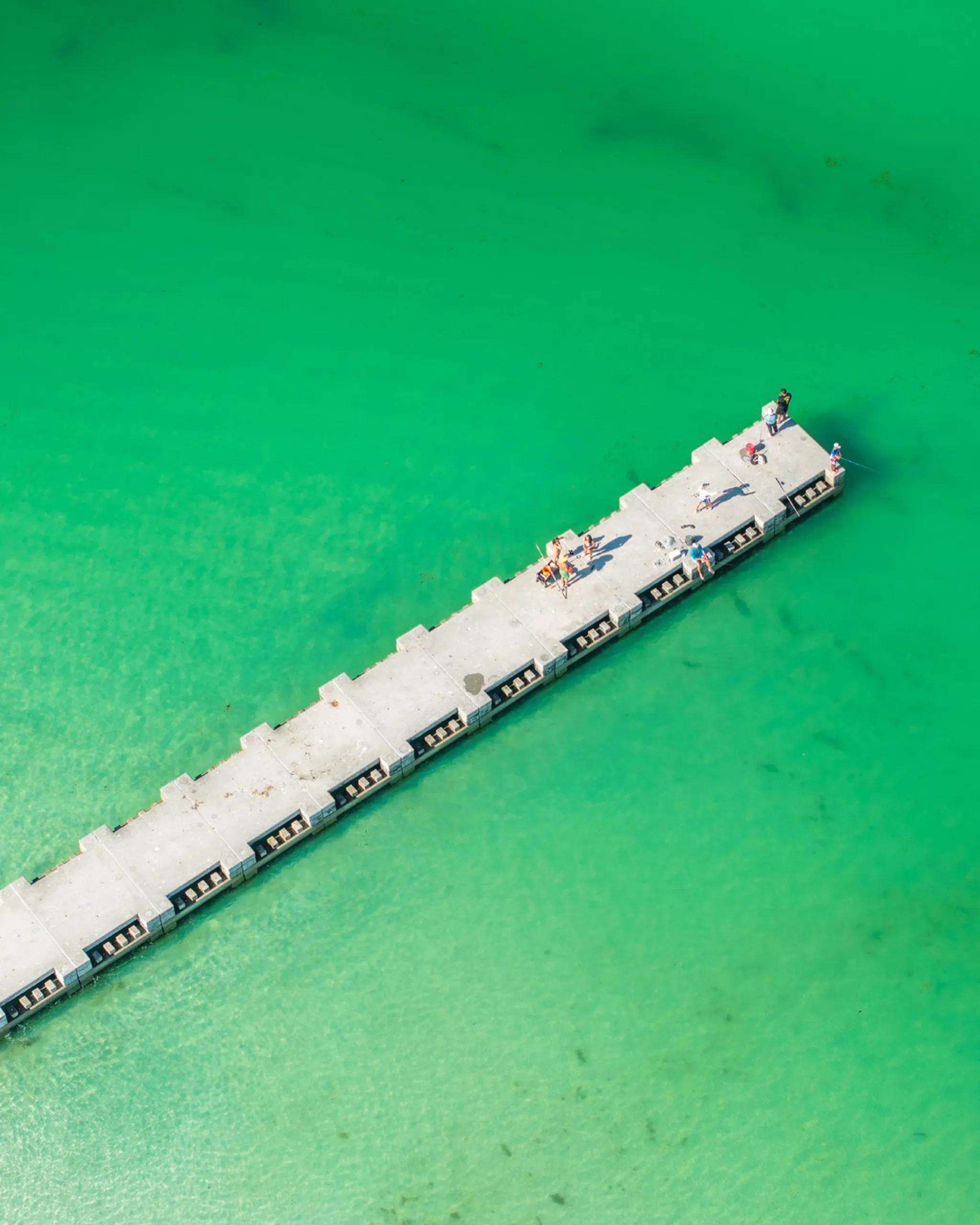 Fishing on the Anna Maria City Pier 2026: A Guest's Guide from Dan's Florida Condos