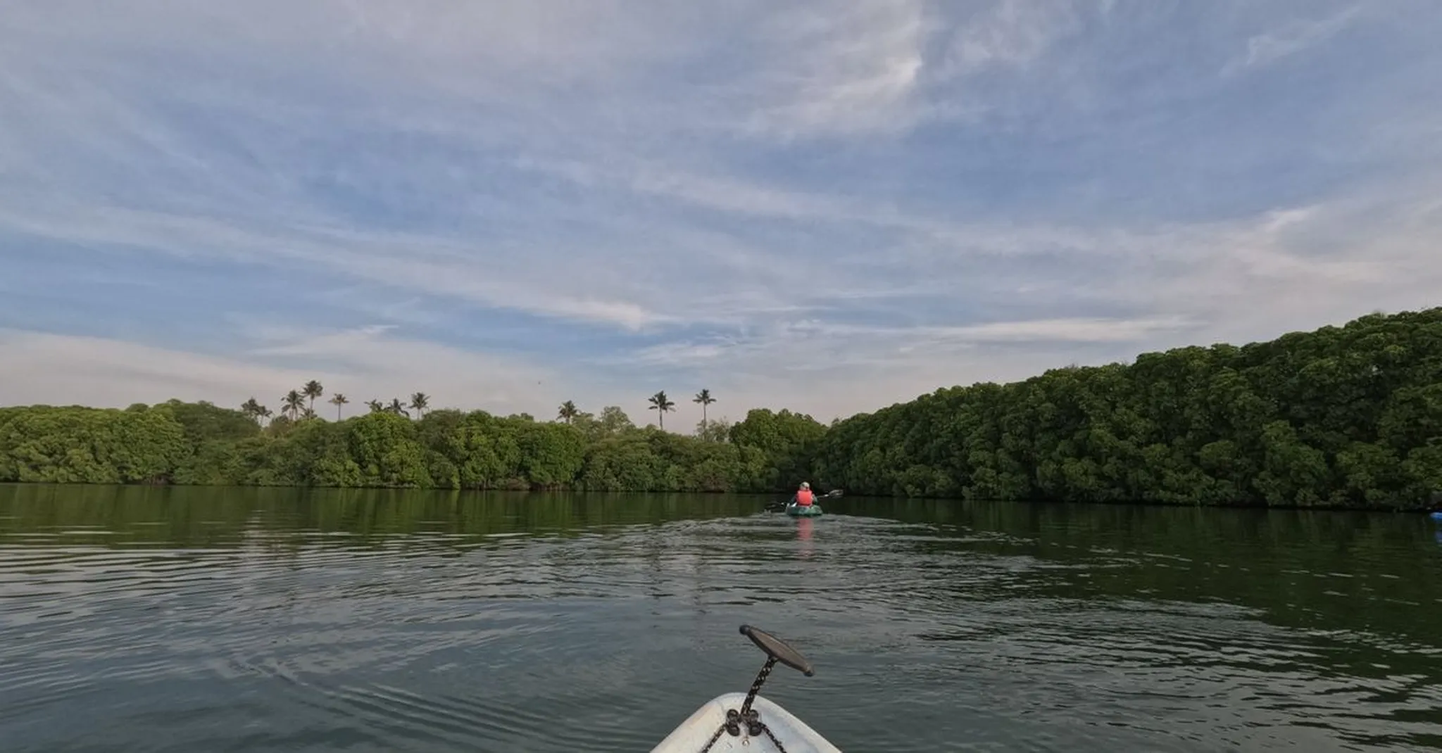 Robinson Preserve Near Bradenton Beach: Kayak Trails, Towers & Wildlife 2026