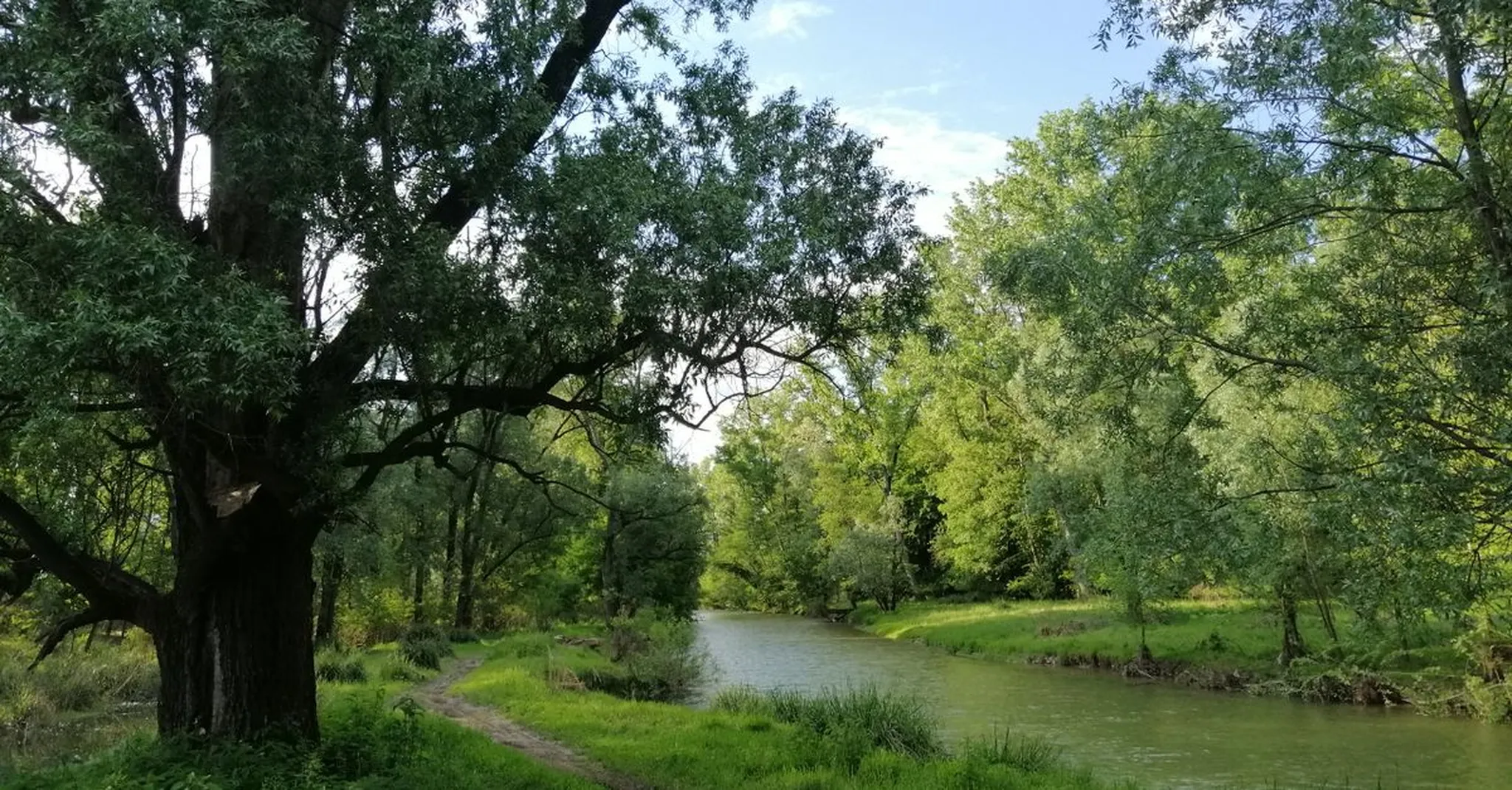 Mineola Nature Preserve in Summer 2026: Outdoor Adventures & Cabin Stays